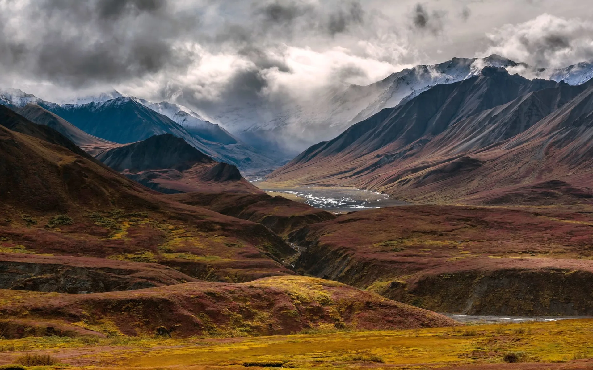 Denali Grizzly Bear Resort in Denali National Park: shutterstock_368733947_denali2