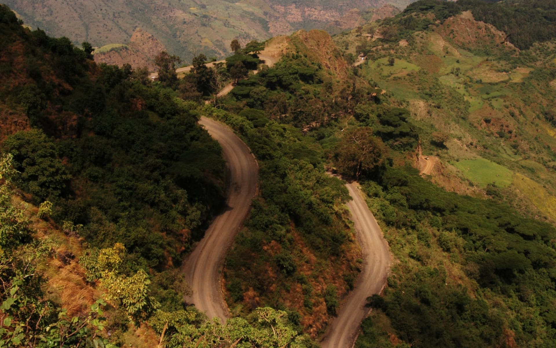 Höhepunkte Äthiopiens ab Addis Abeba: Simien Mountains