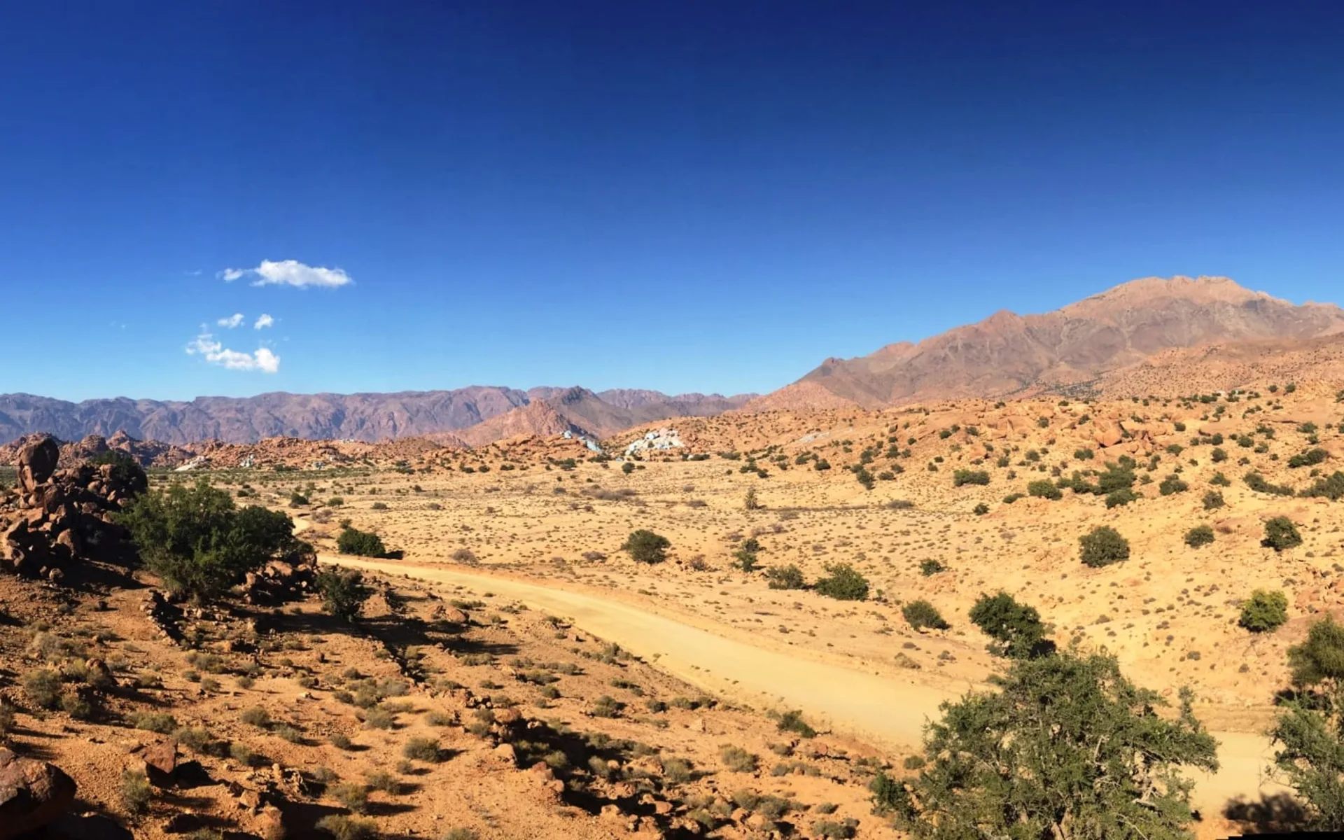 Selbstfahrer-Tour: Atlantikküste, Sous-Ebene und Anti-Atlas ab Marrakesch: Tafraoute 