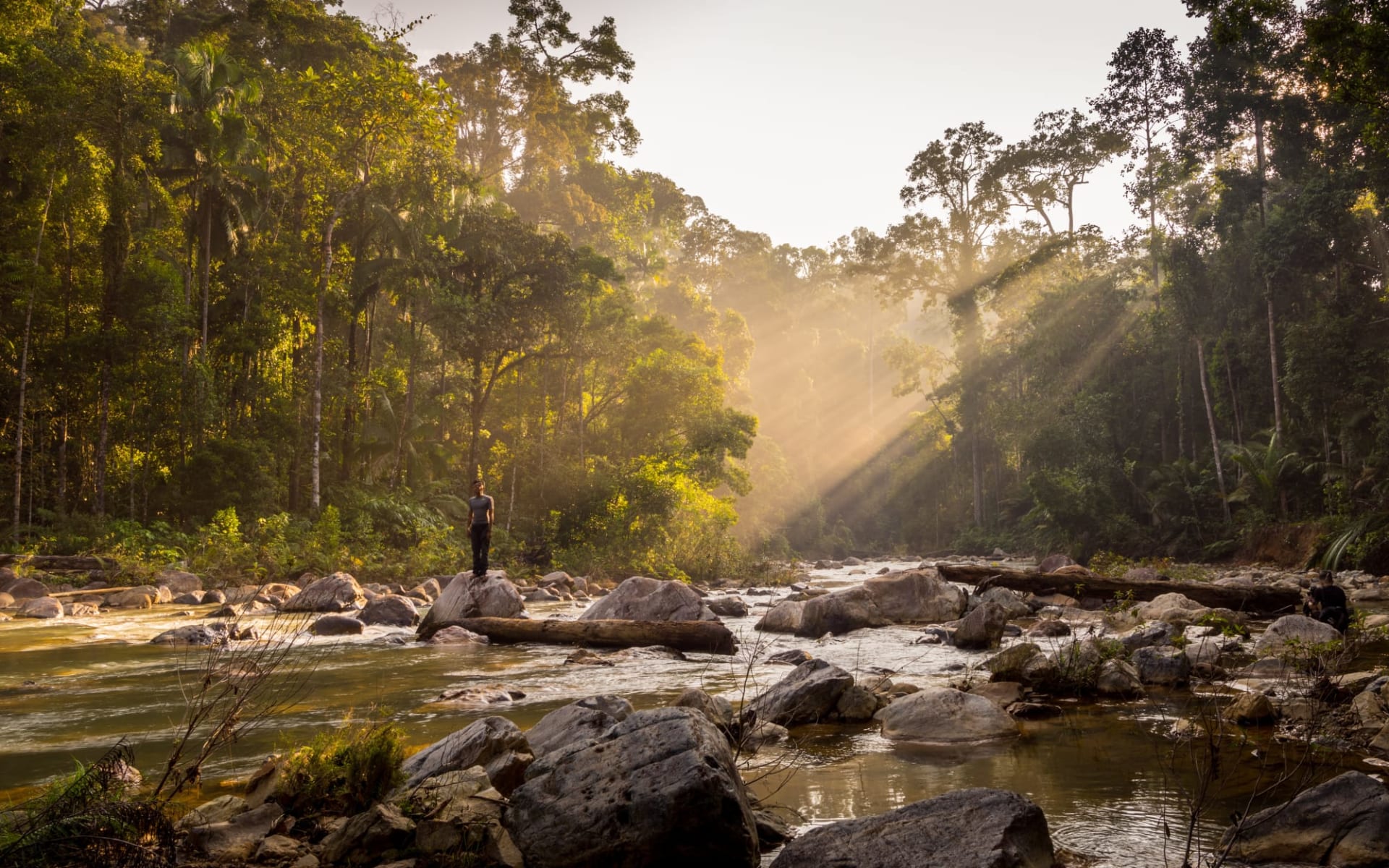 Taman Negara Nationalpark ab Kuala Lumpur: Taman Negara Morning 