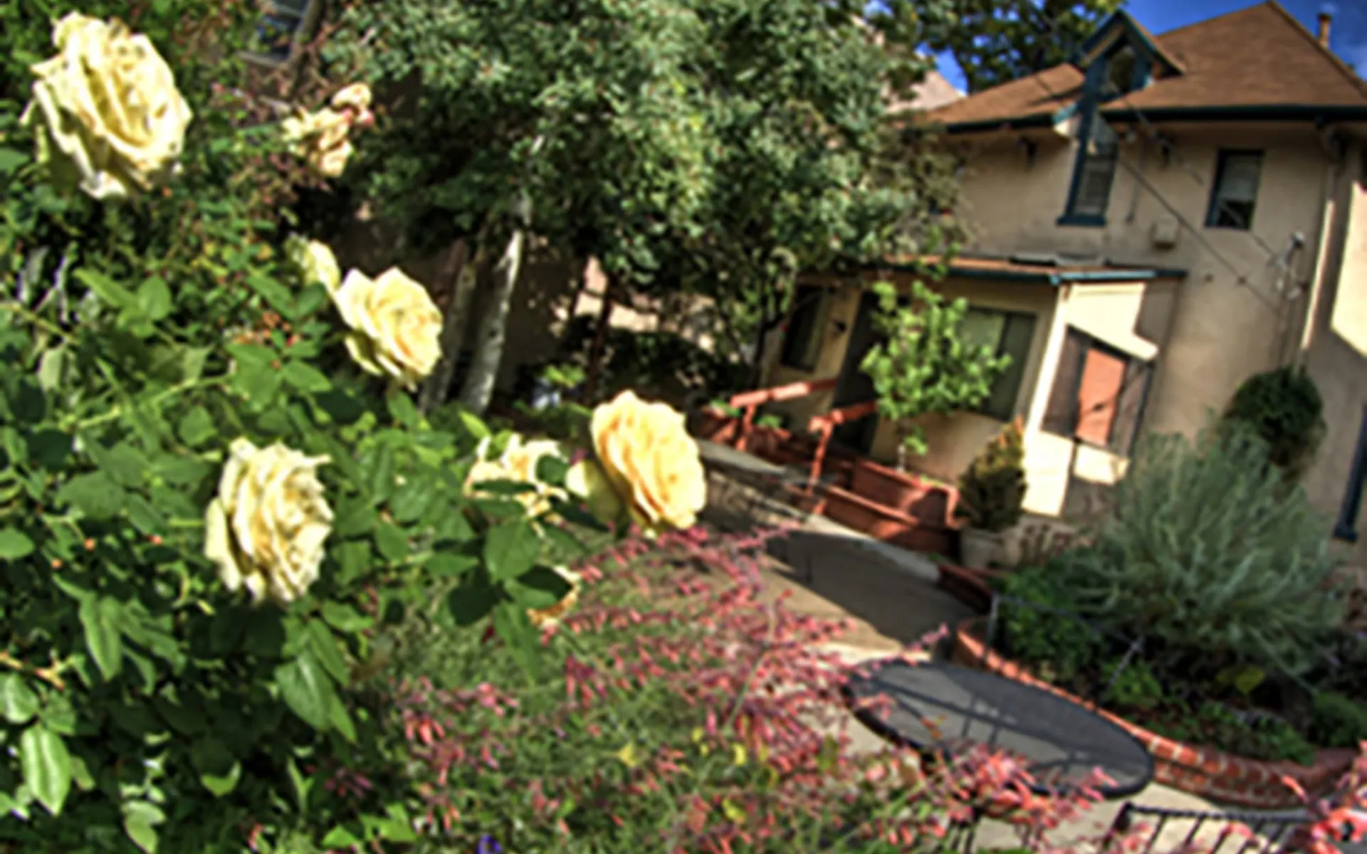 Queen Anne B&B in Denver: thegardens_Webseite