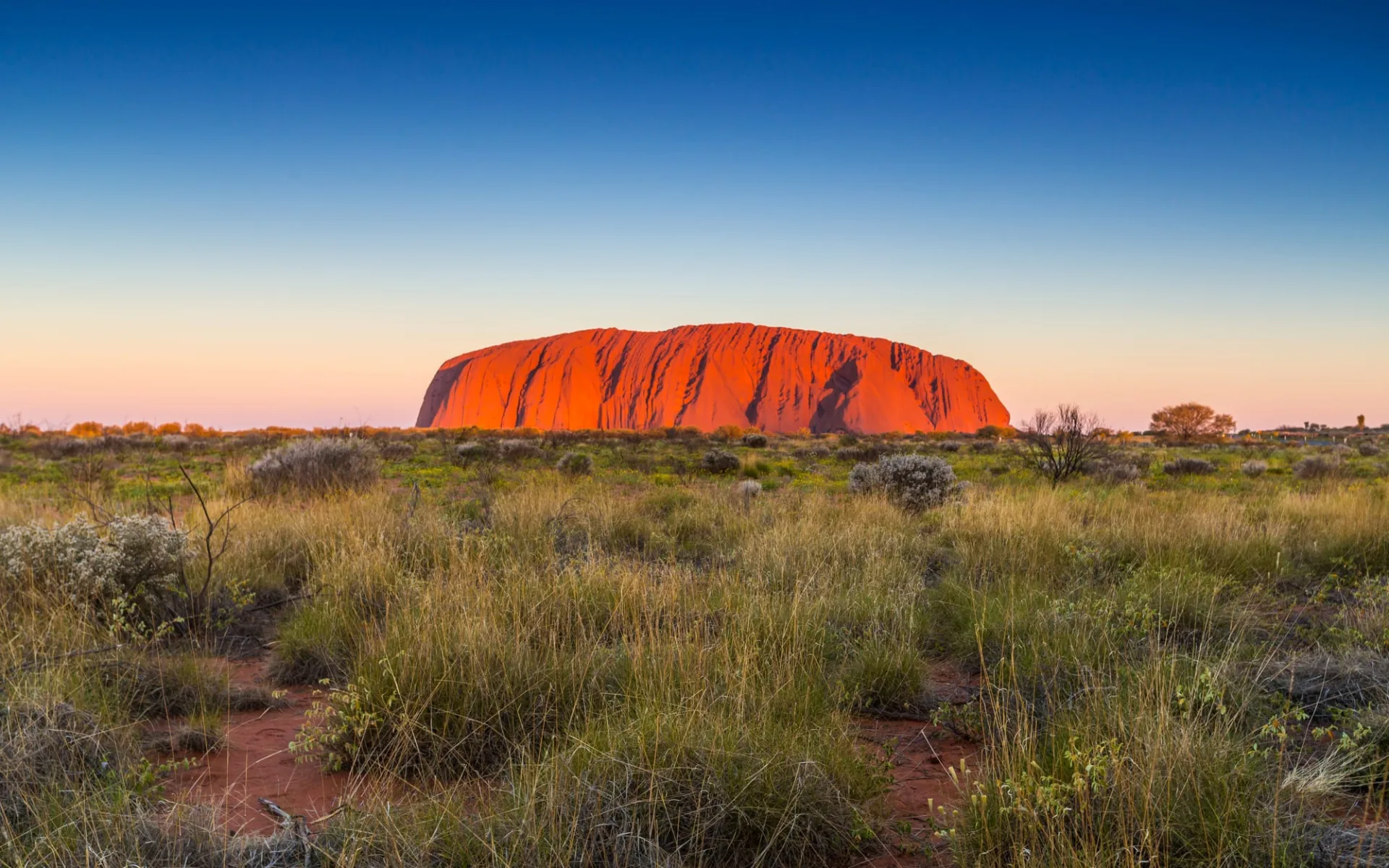 AAT Kings: Kata Tjuta, Uluru & Kings Canyon ab Alice Springs: Uluru NP - Ayers Rock bei Sonnenuntergang