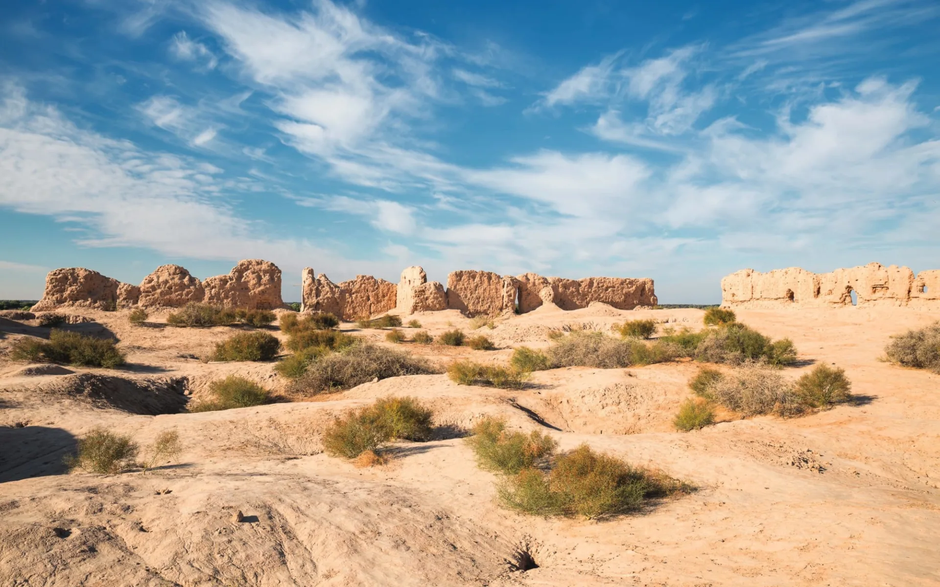 Auf den Spuren von Karawanen ab Taschkent: Usbekistan_WuesteKyzylkum_