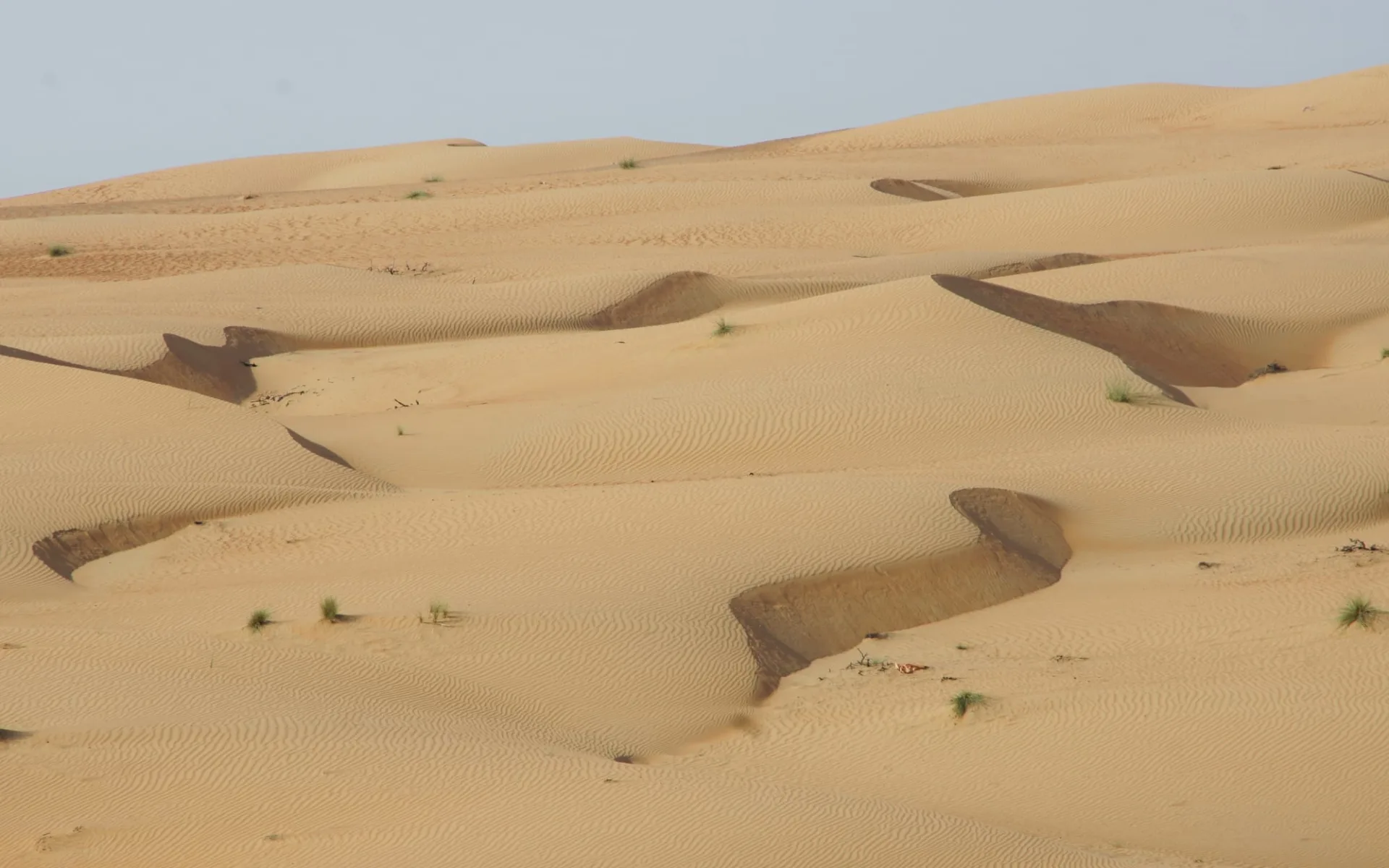 Auf den Spuren der alten Weihrauchroute ab Salalah: Wahiba Sands Oman