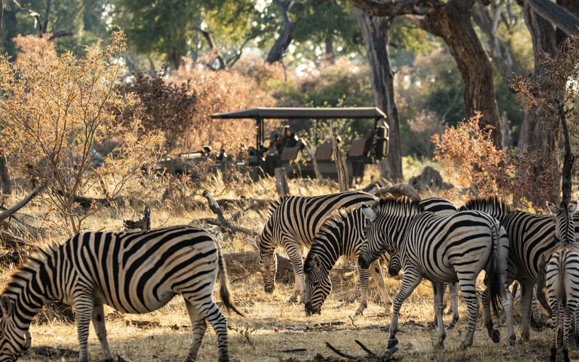 Kings Pool Camp in Linyanti Region: wilderness-safari-kingspool-botswana-0450