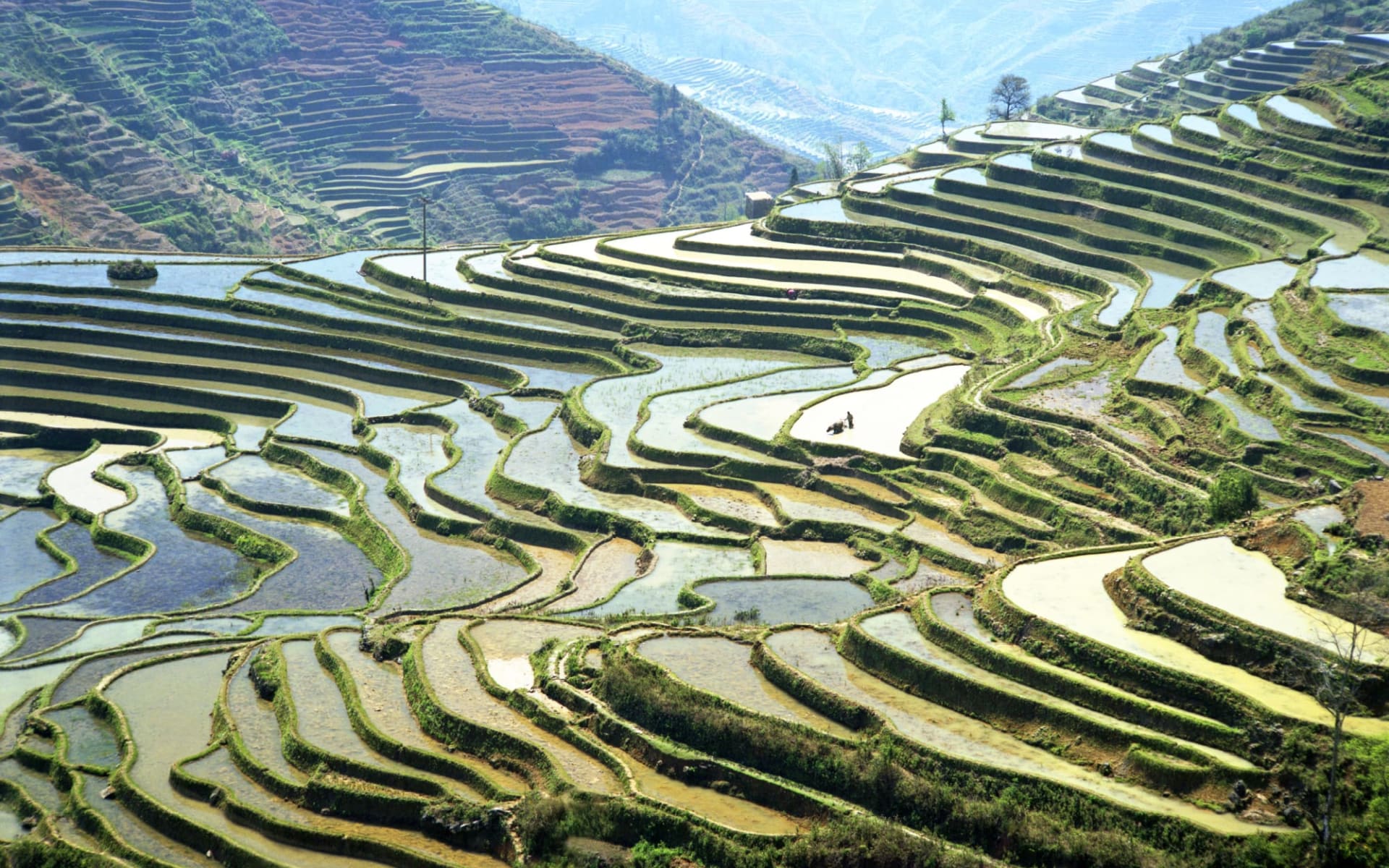 Yunnans unbekannter Süden ab Kunming: Yuanyang rice terraces