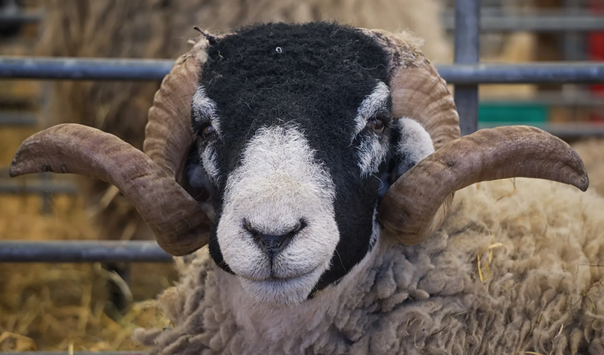 Hochlandträume – Schottland in seiner ganzen Pracht ab Edinburgh: 
