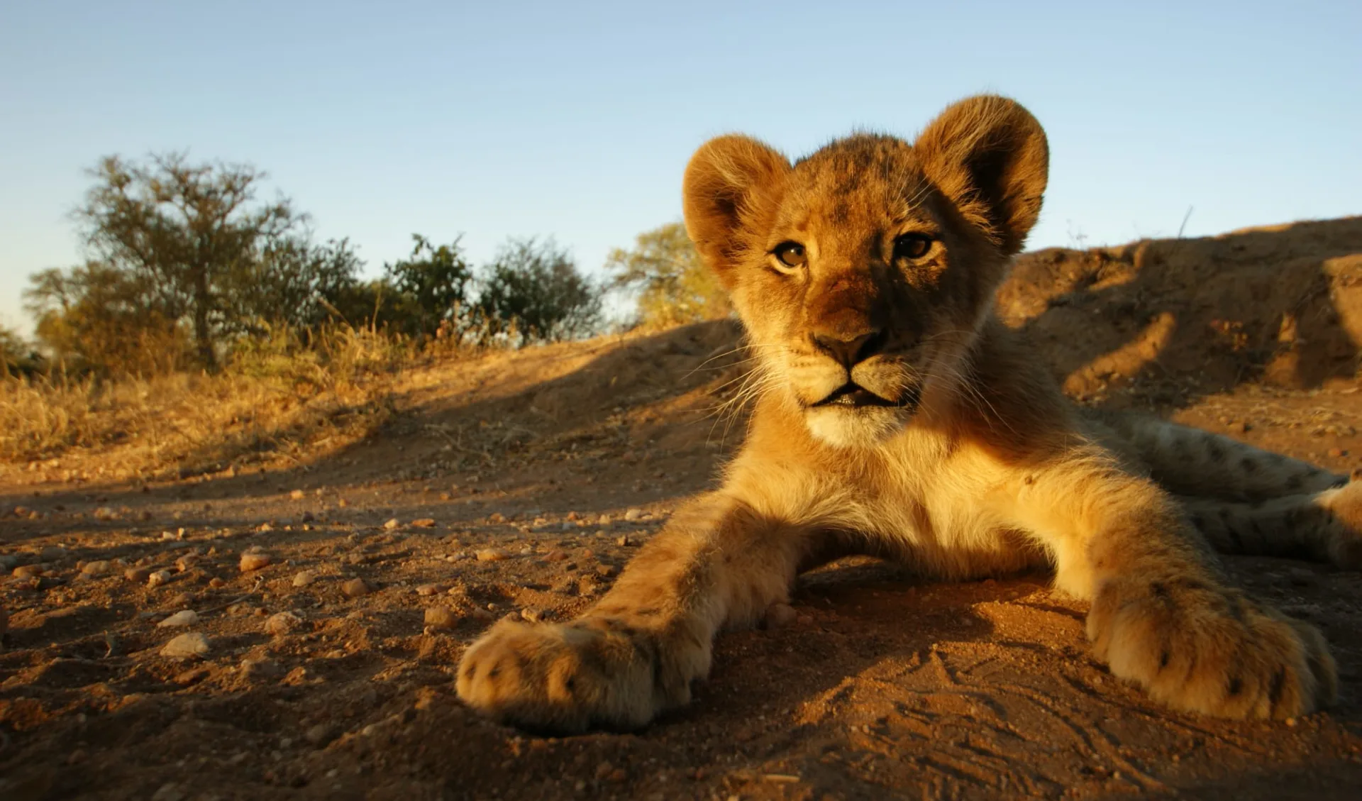 Etosha Oberland Lodge in Etosha Nationalpark: 