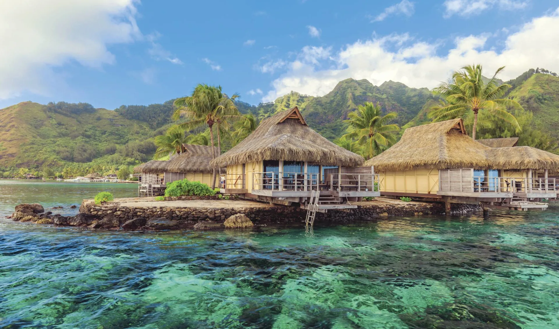 Islands Of The Pacific ab Papeete: 
