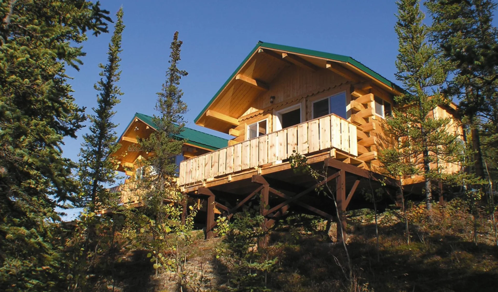 Denali Grizzly Bear Resort in Denali National Park: _ exterior Denali Grizzly Bear Resort - Aussenansicht Cabins