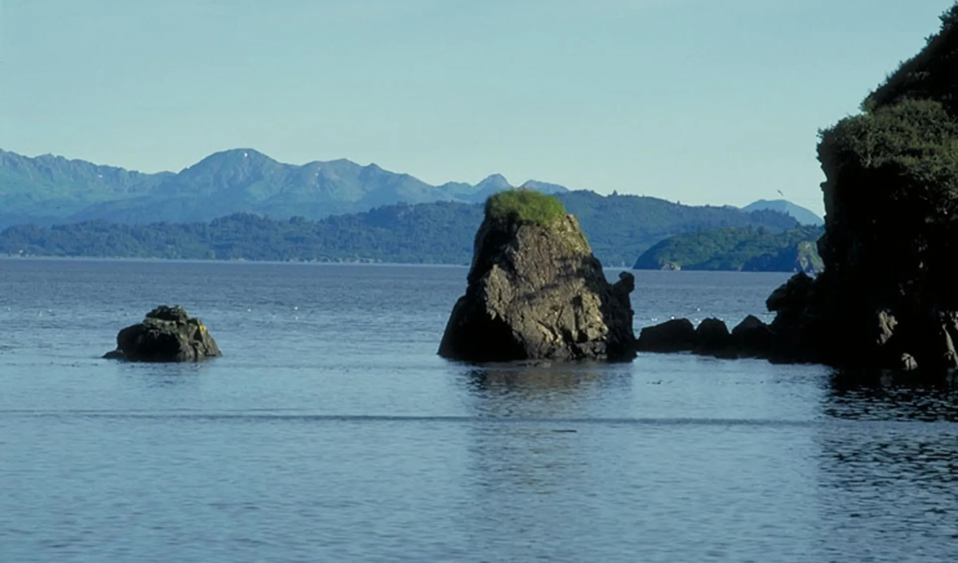 Kodiakbären hautnah ab Anchorage: 2008 Kodiak Felsen an Küste