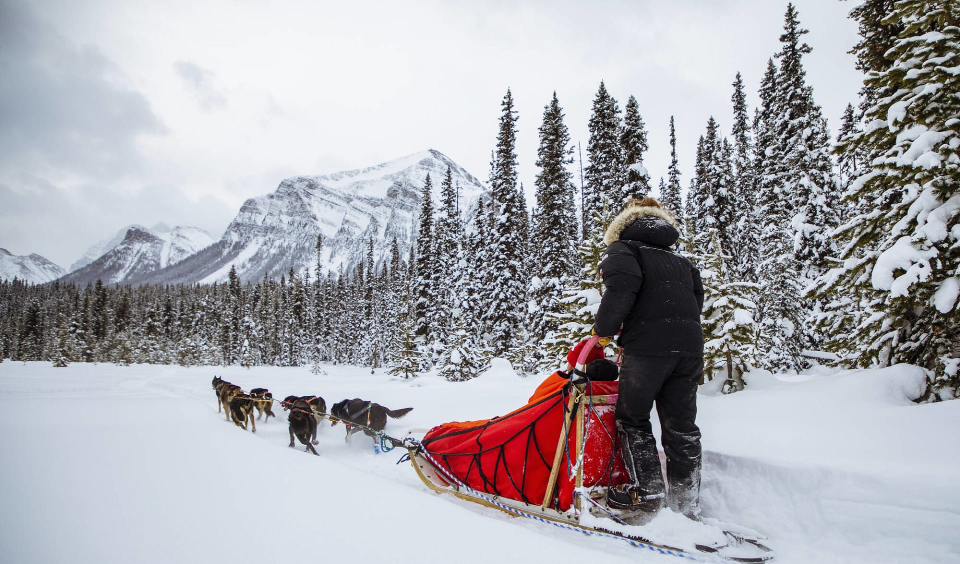 Kanada-Spezial: Kanadische Rocky Mountains ab Calgary: 2022_LakeLouise_Dogsledding_AdventureCities_MattWillder2