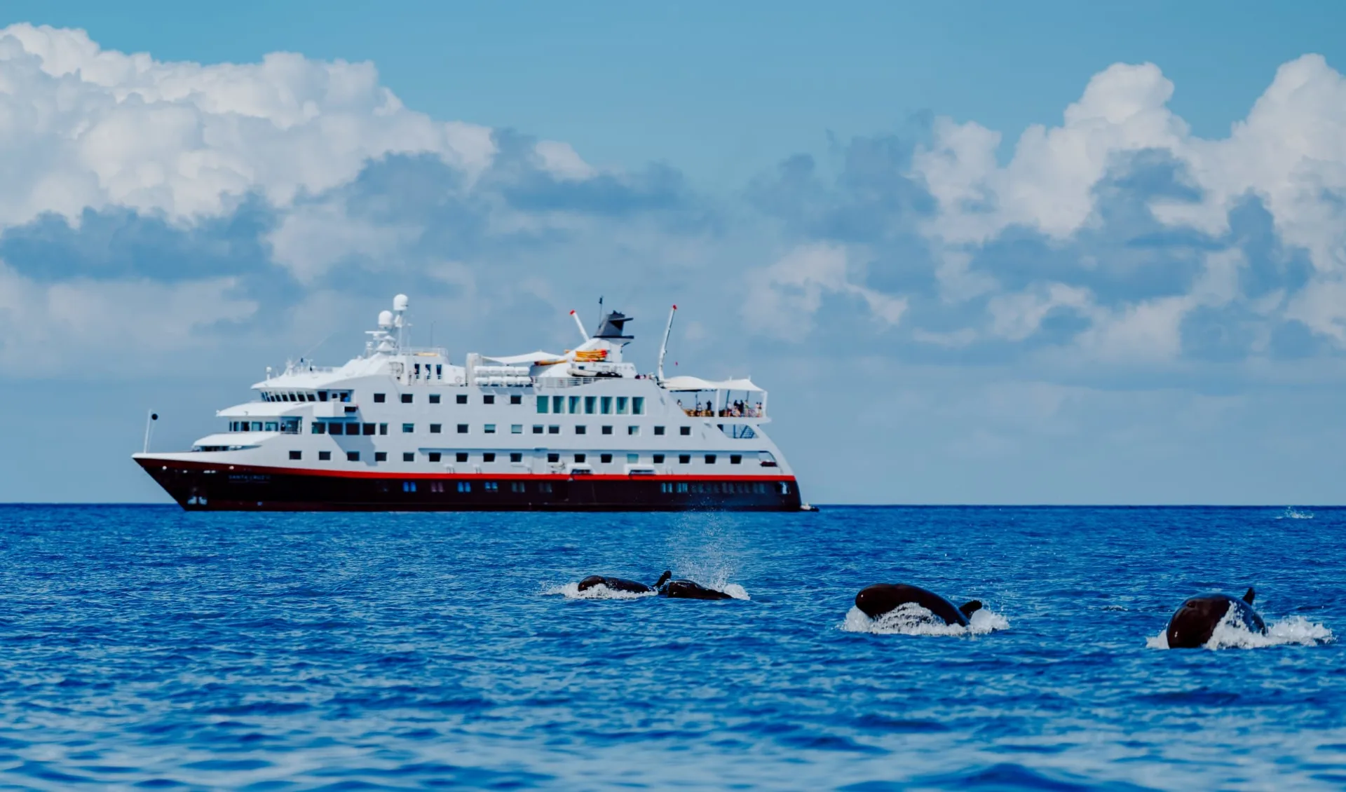 Expedition zum Galapagos Archipel ab Quito: 20230329-RABIDA-0049-ANDRESMESIASPH-ANDRES-MESIAS-22666400-Photo_Andres_Mesias