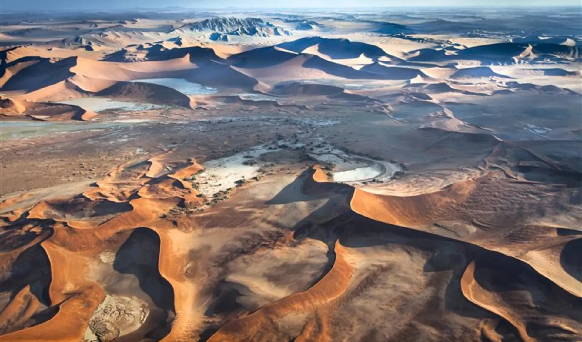 Namibia Lesereise Schweizer Familie - Weite Wüsten, Wilde Tiere ab Windhoek Stadt: 7f1577a6-ddab-4838-9b0e-4c14e9a7f8a4