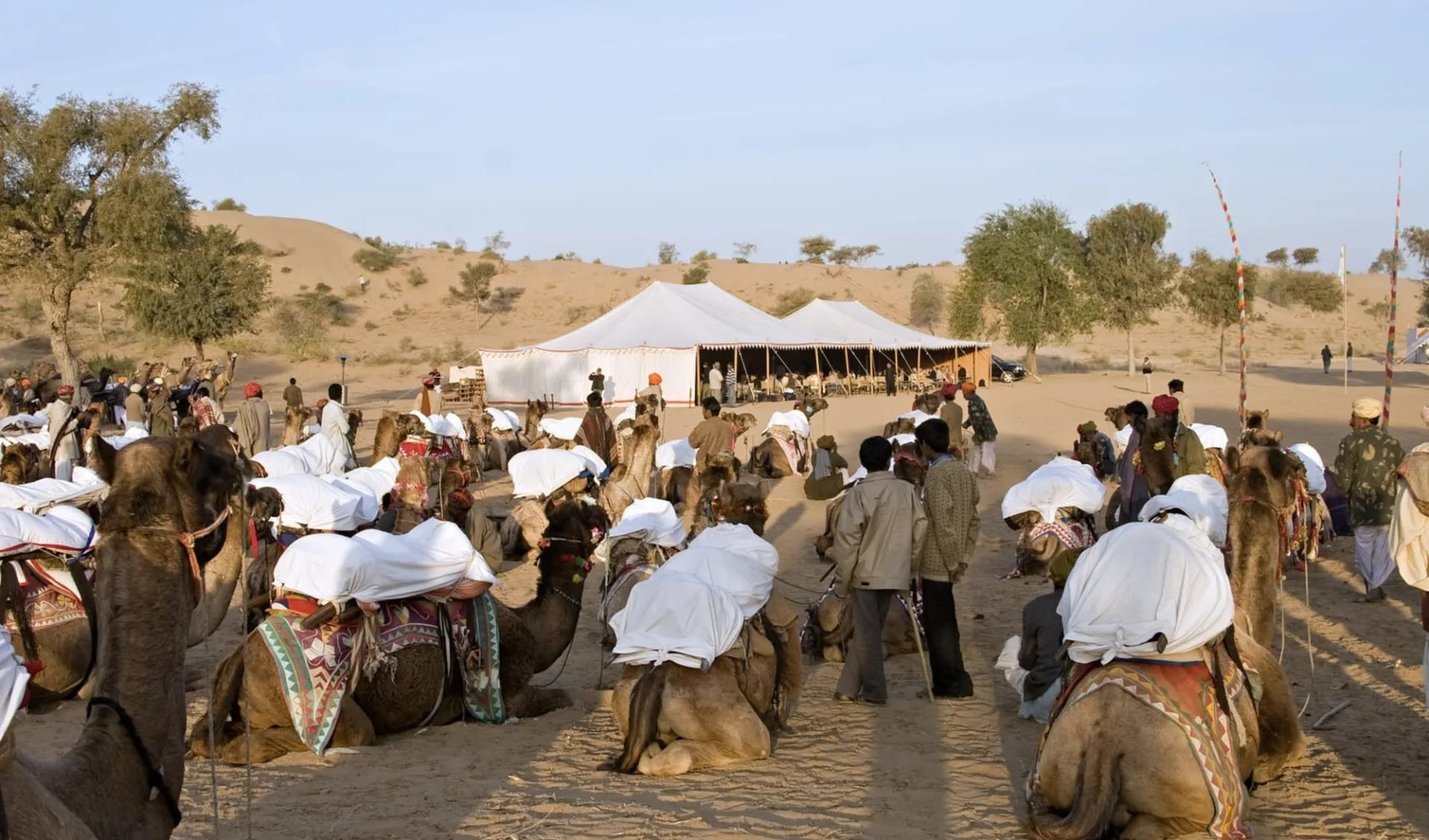 Palastromantik und Wüstenzauber ab Jodhpur: activities: 