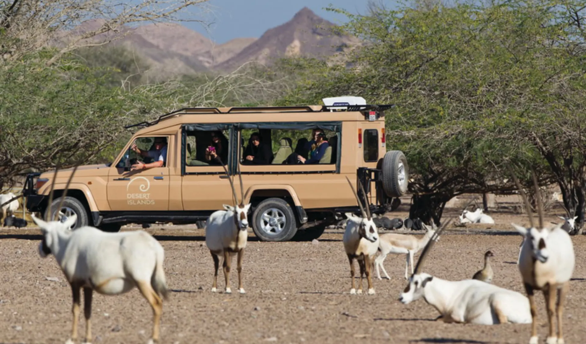 Anantara Desert Islands Resort & SPA in Sir Bani Yas:  