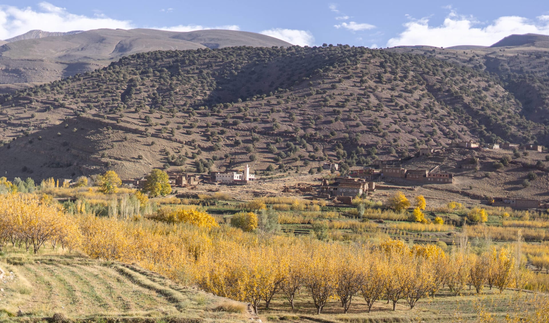 Wandern im Tal der Glücklichen ab Marrakesch: activities: 
