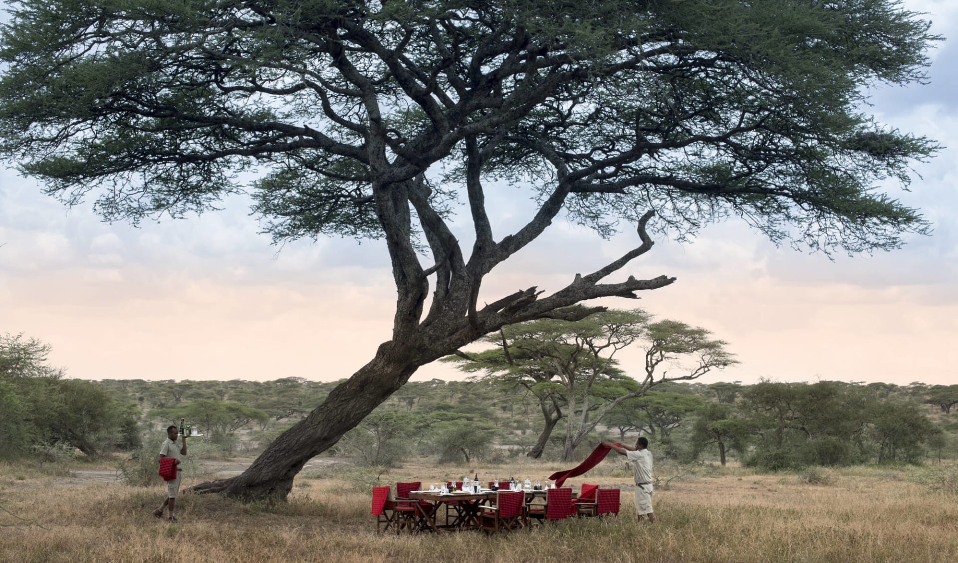 &Beyond Serengeti Under Canvas:  Bush-dinner_2