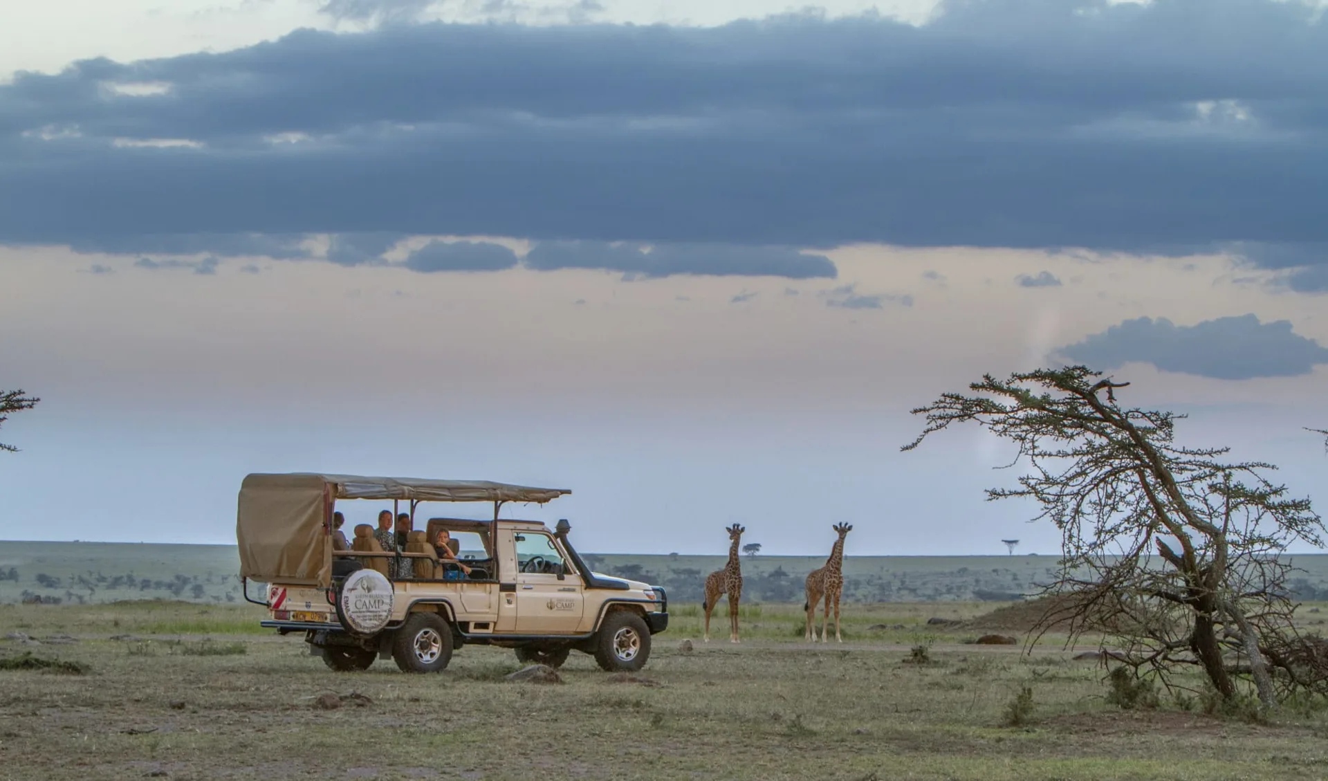 Karen Blixen Camp in Masai Mara:  Game drive-5