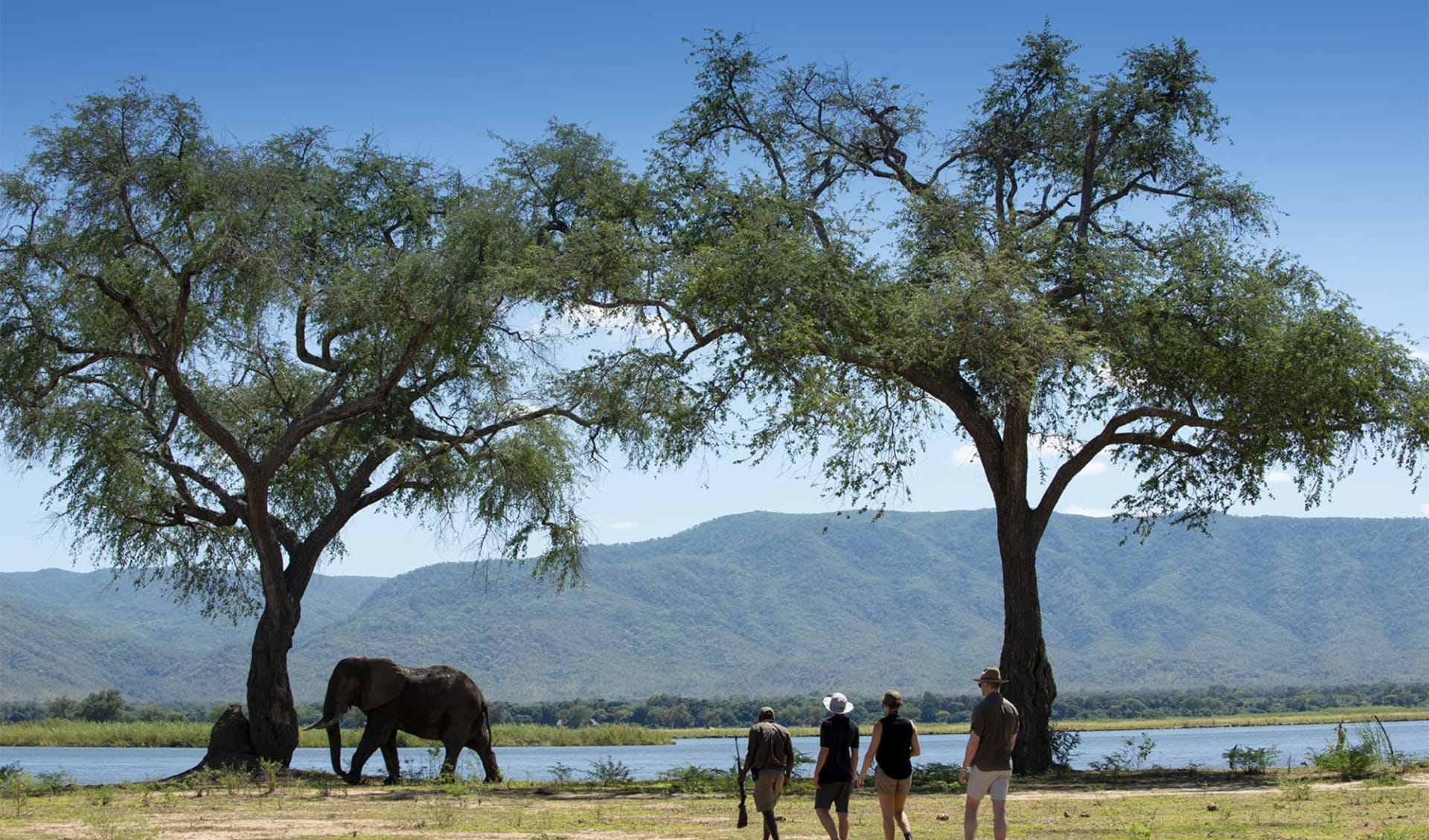 Nyamatusi Camp in Mana Pools Nationalpark:  nyamatusi_047