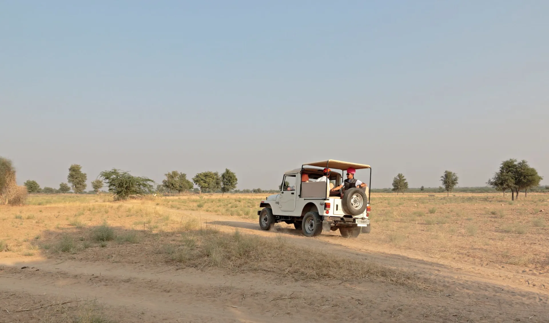 Palastromantik und Wüstenzauber ab Jodhpur: activities: Safari