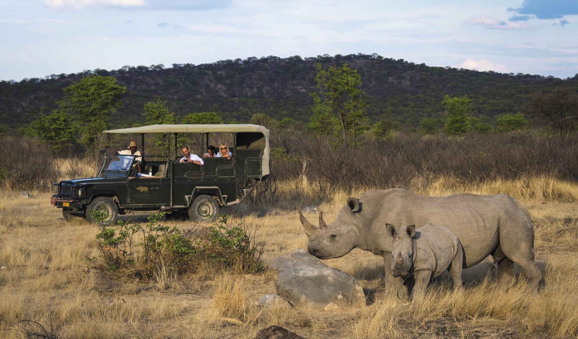 Ongava Lodge in Etosha Nationalpark:  Safarifahrzeug und Nashörner