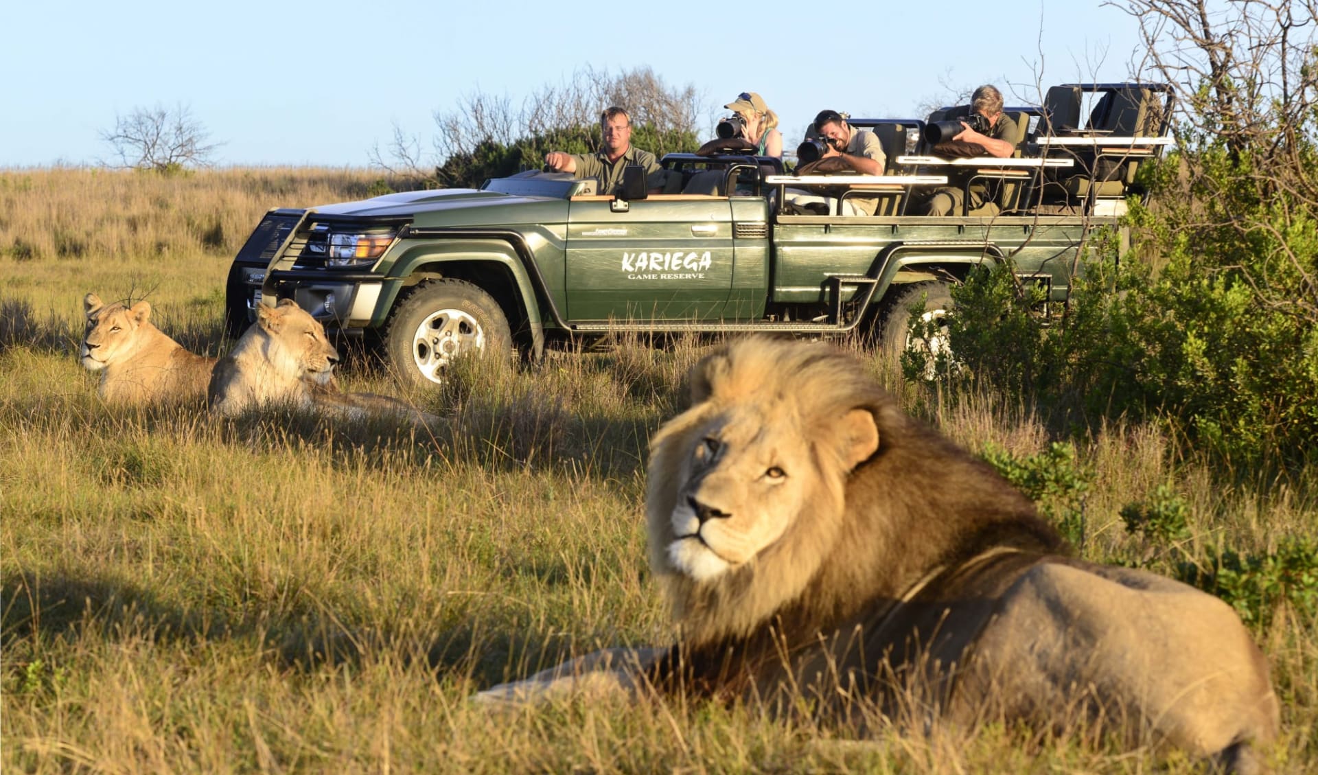 Kariega Main Lodge in Kariega Game Reserve: Tier Kariega Main Lodge - Safari mit Löwen