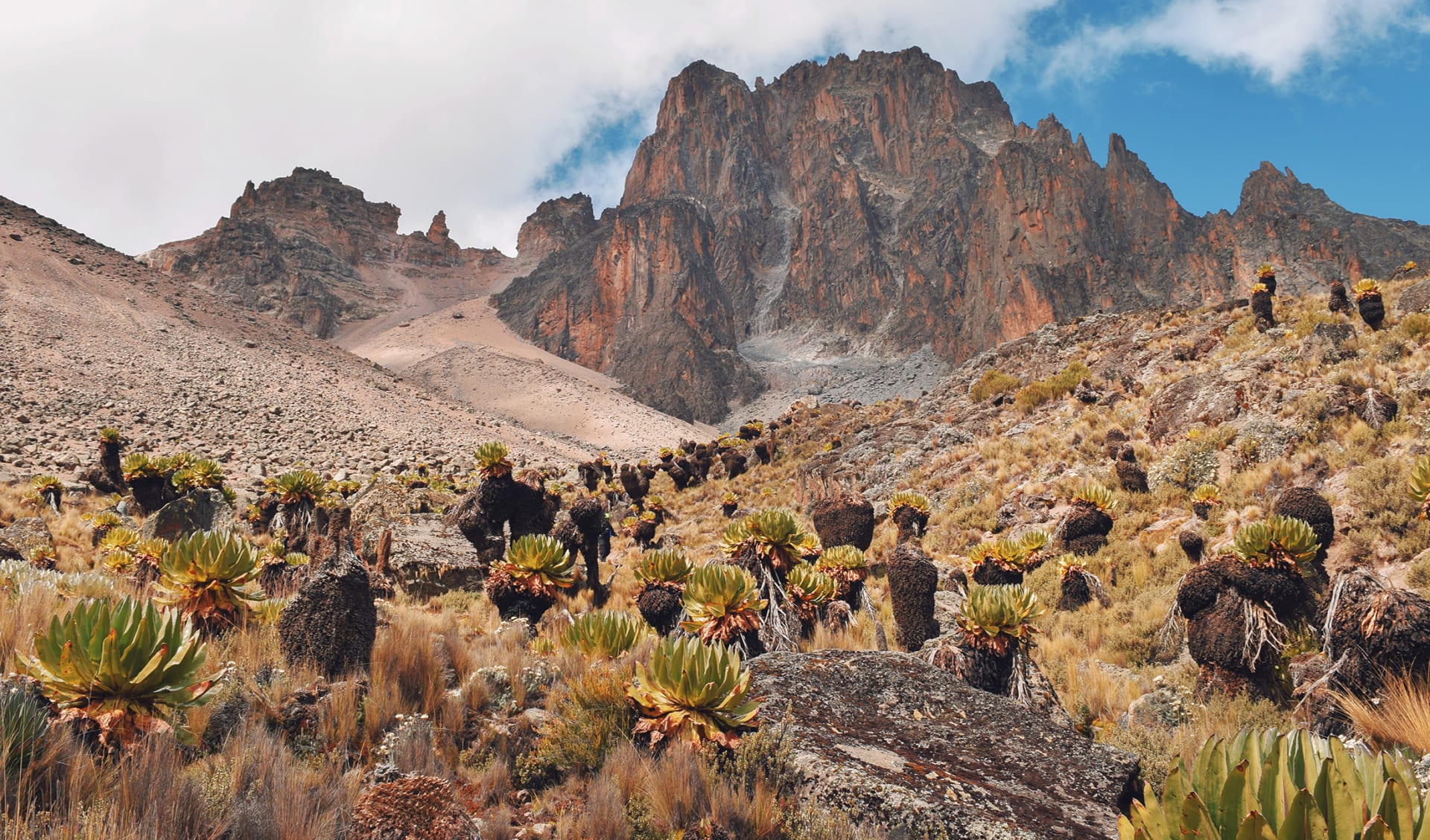 Mount Kenya und Ol Pejeta, Kenia