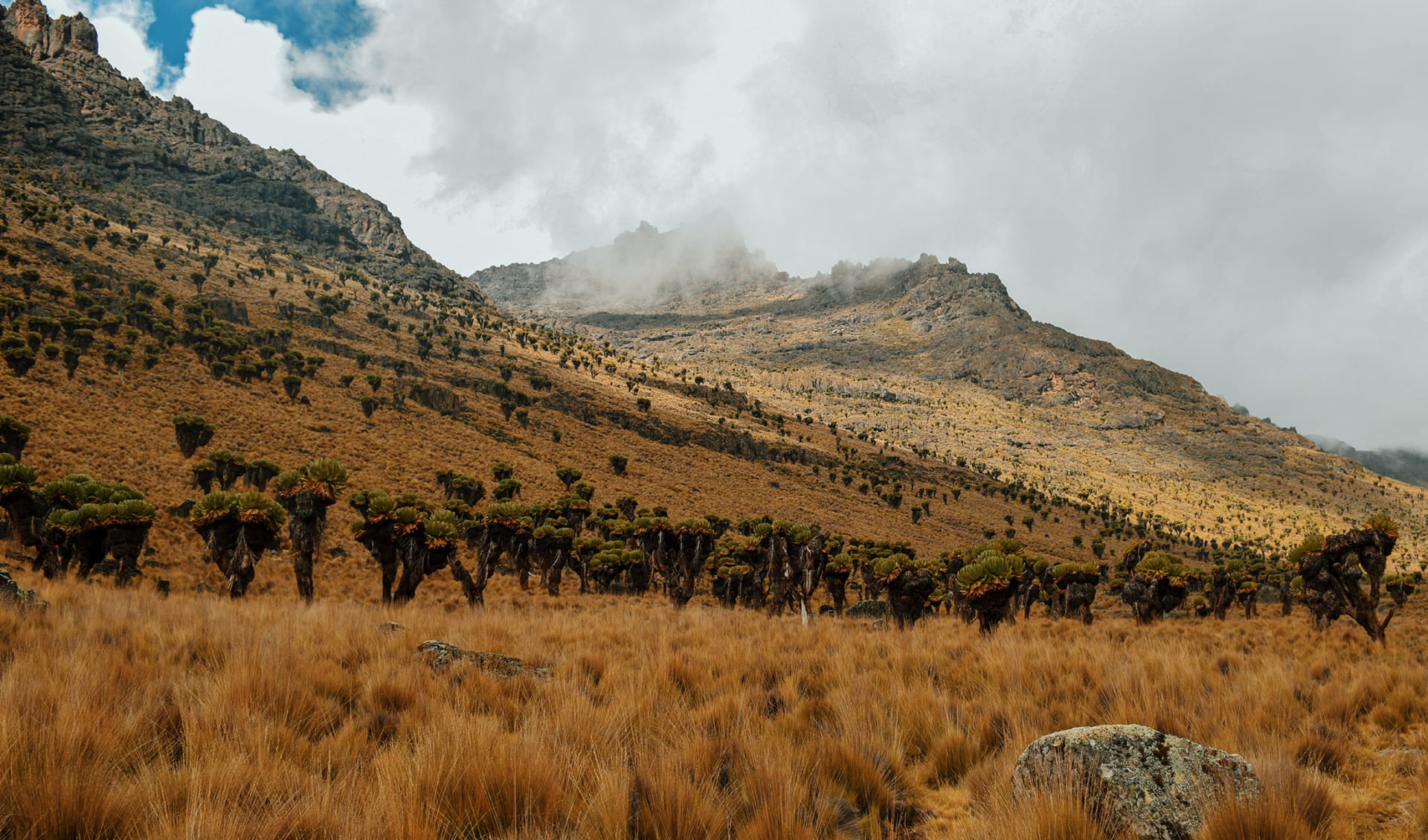 Mount Kenia, Kenia