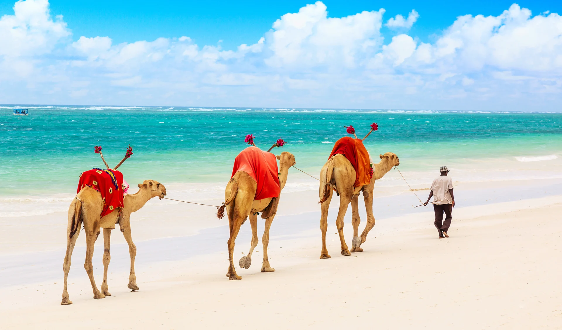 Diani, Kenia