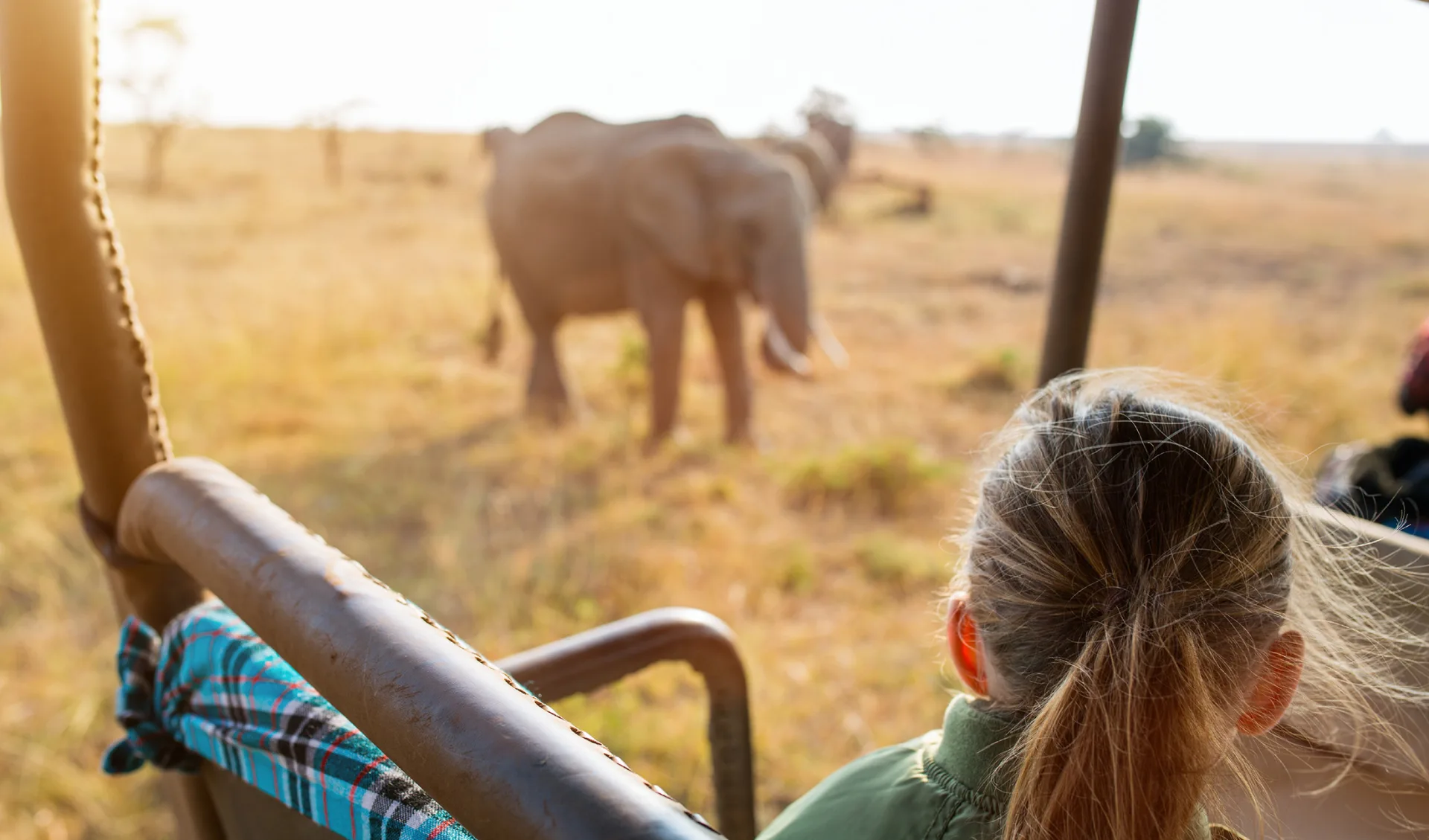 Safari, Kenia