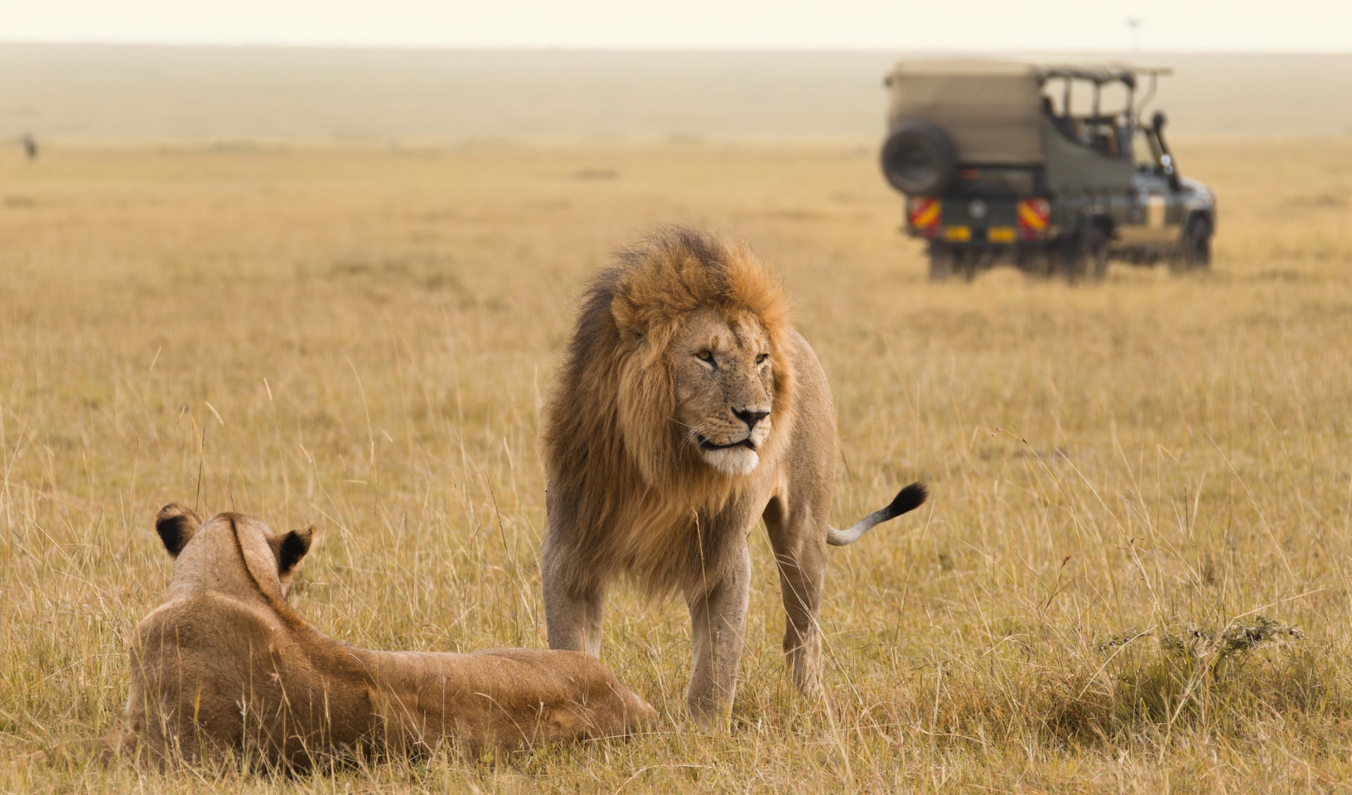 Jeep Safari, Kenia