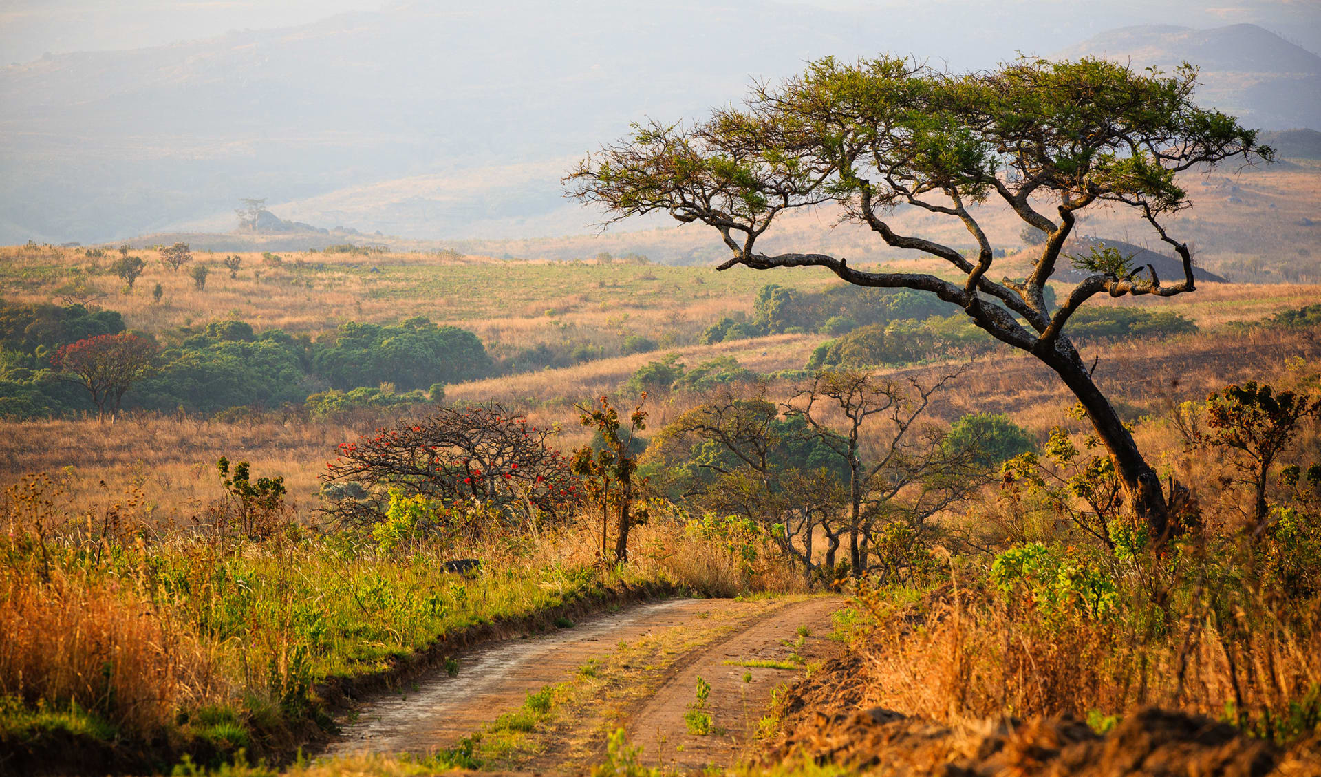 Nyika National Park, Malawi