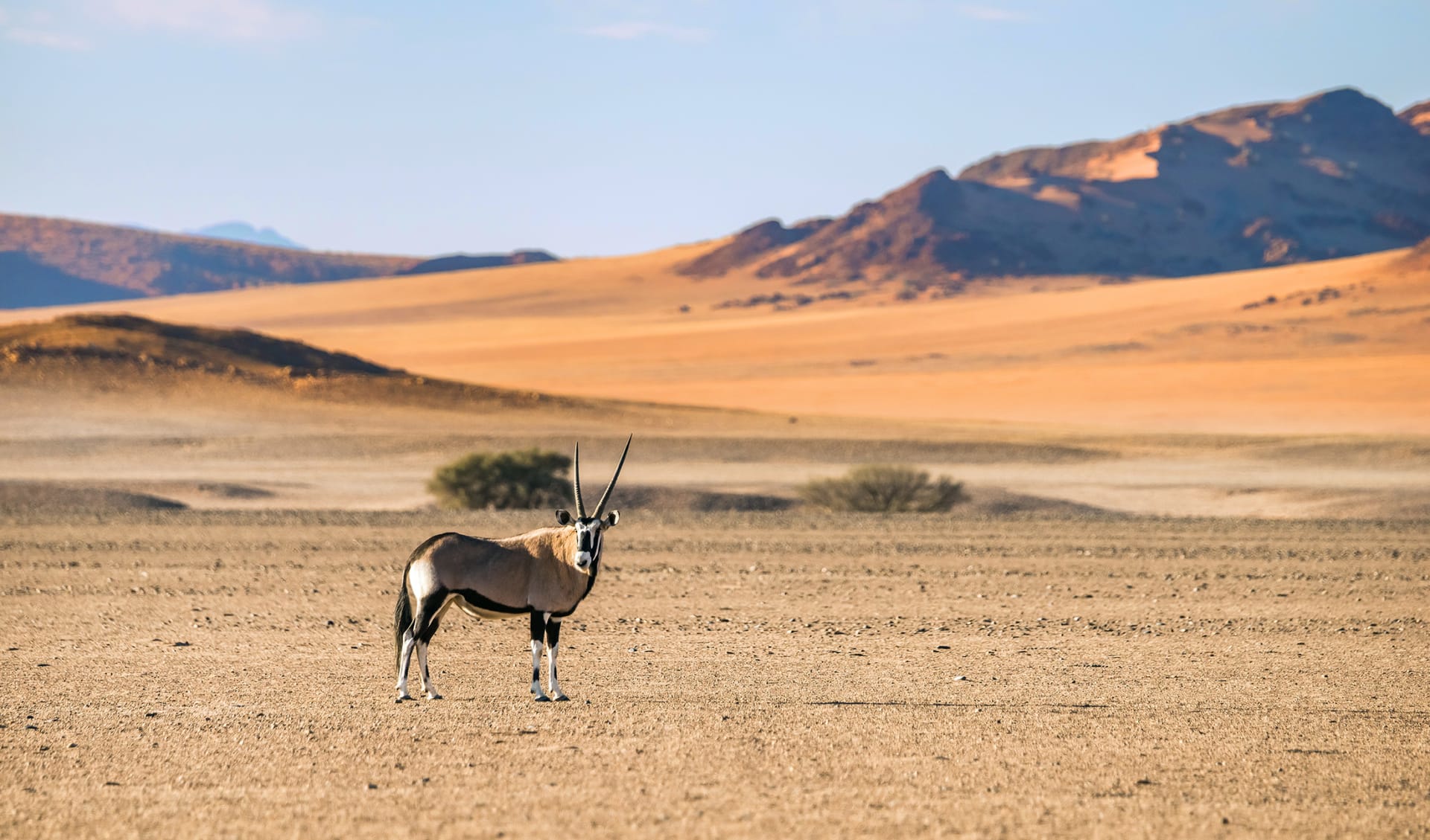 Namib Naukluft , Namibia