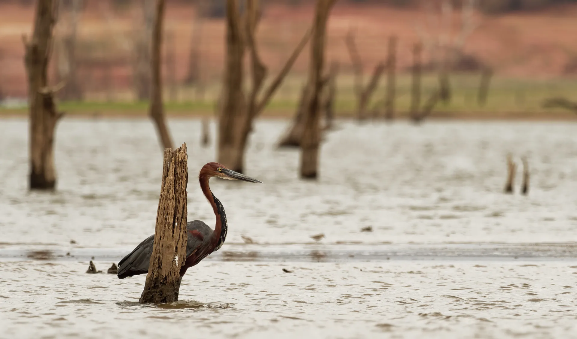 Lake Kariba, Sambia/Simbabwe