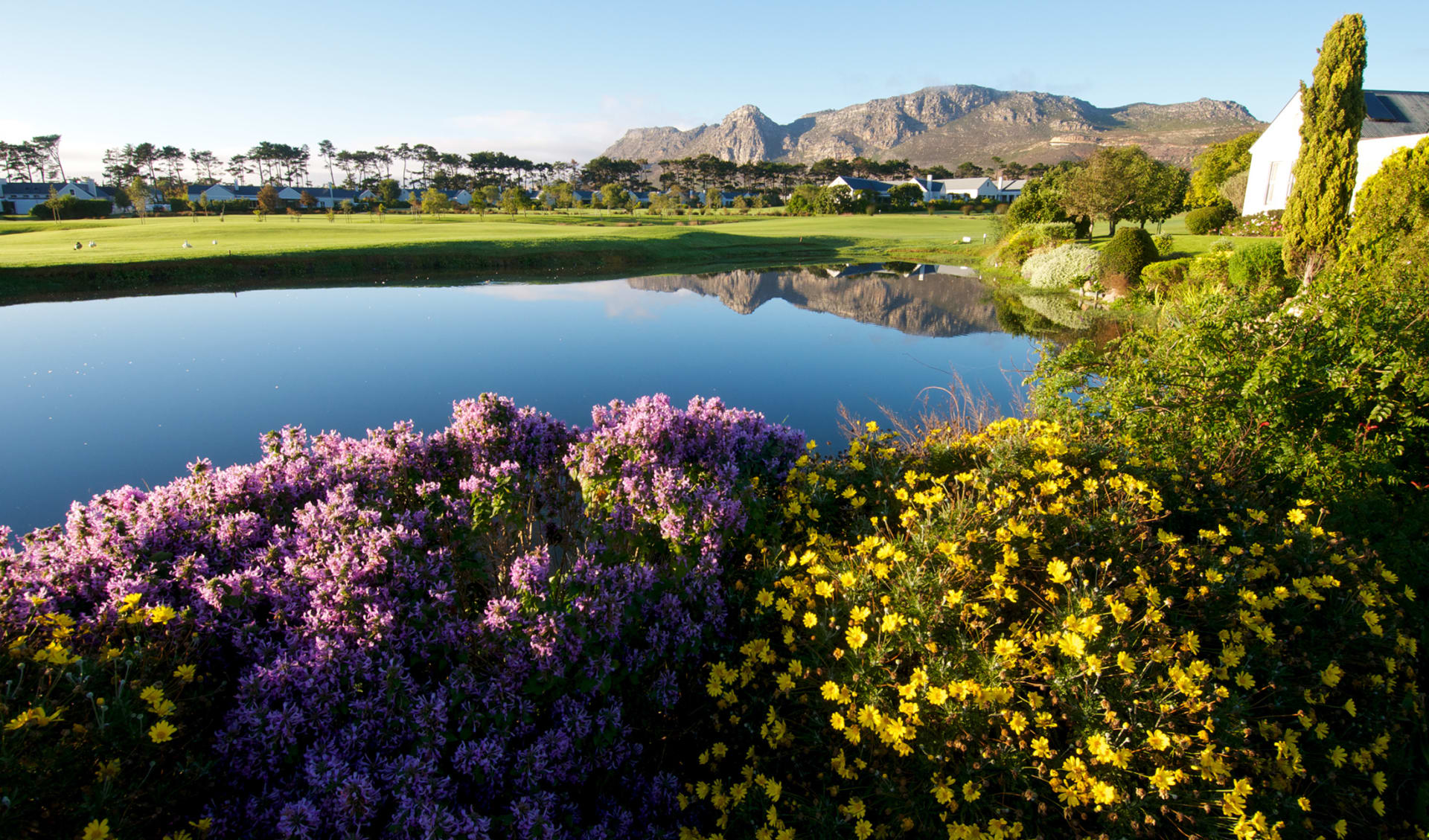 Golf, Südafrika