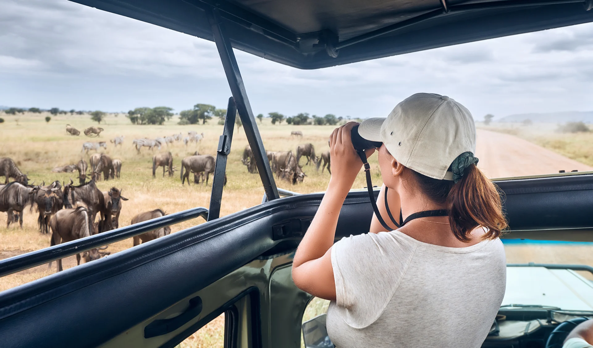 Safari, Tansania/Sansibar