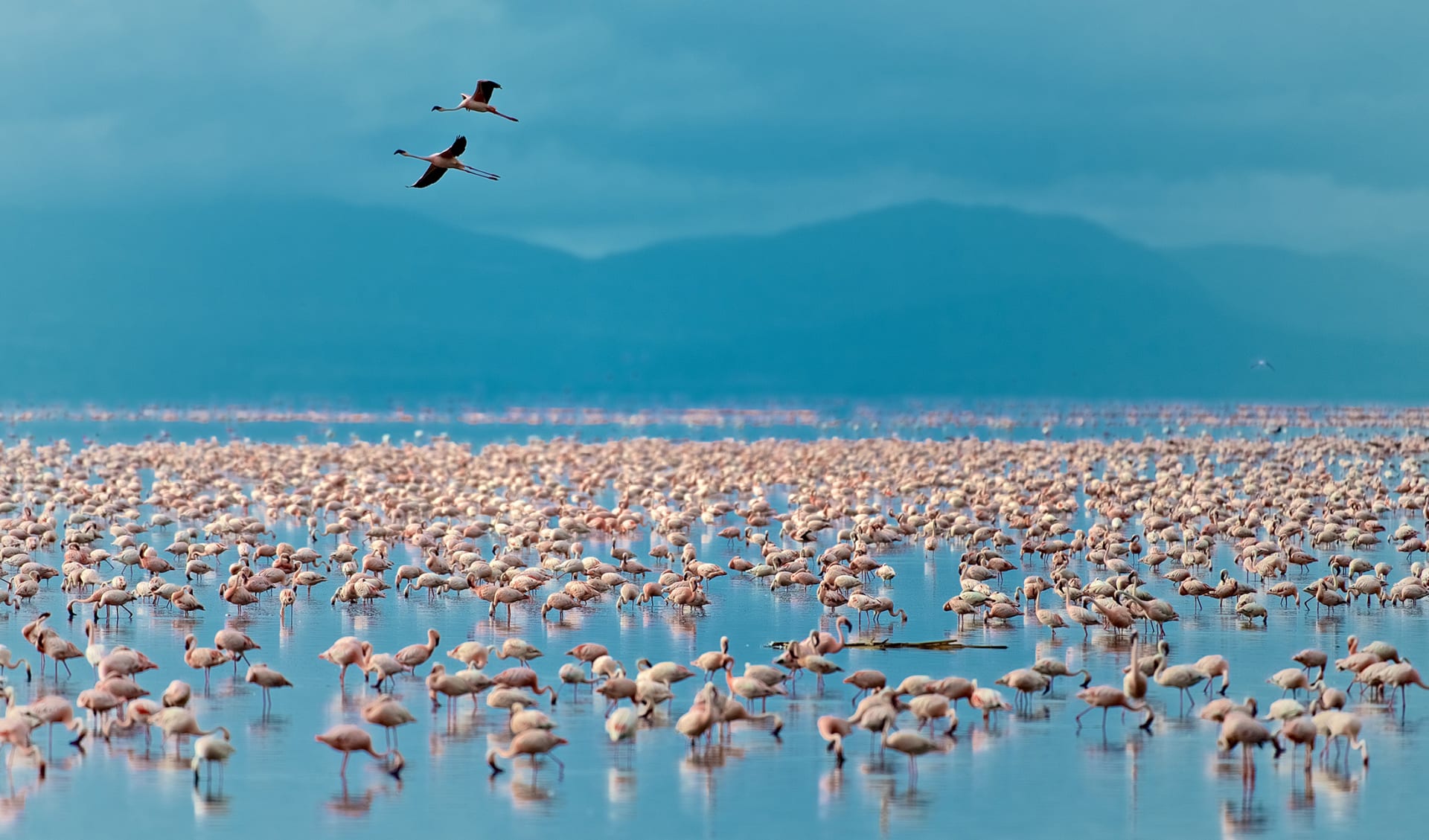 Lake Manyara, Tansania/Sansibar