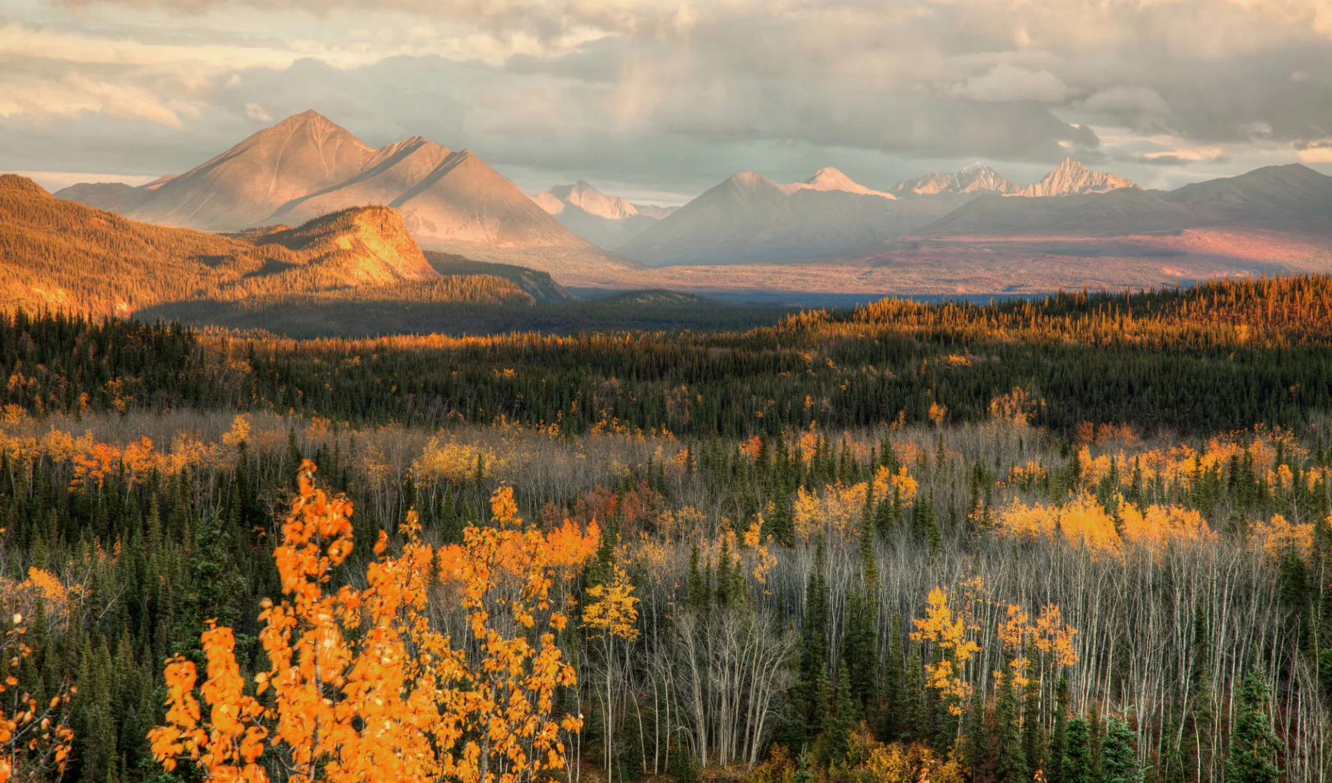 Best of Yukon und Alaska ab Anchorage: Alaska - Denali NP - Bergpanorama