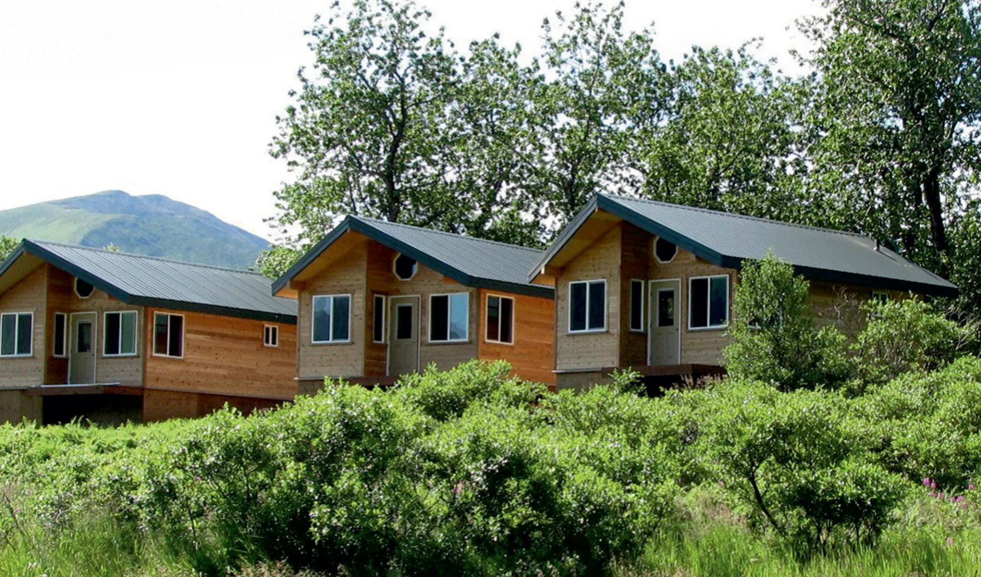 Kodiakbären hautnah: Alaska - Karluk Lake - Koadiak Brown Bear Center