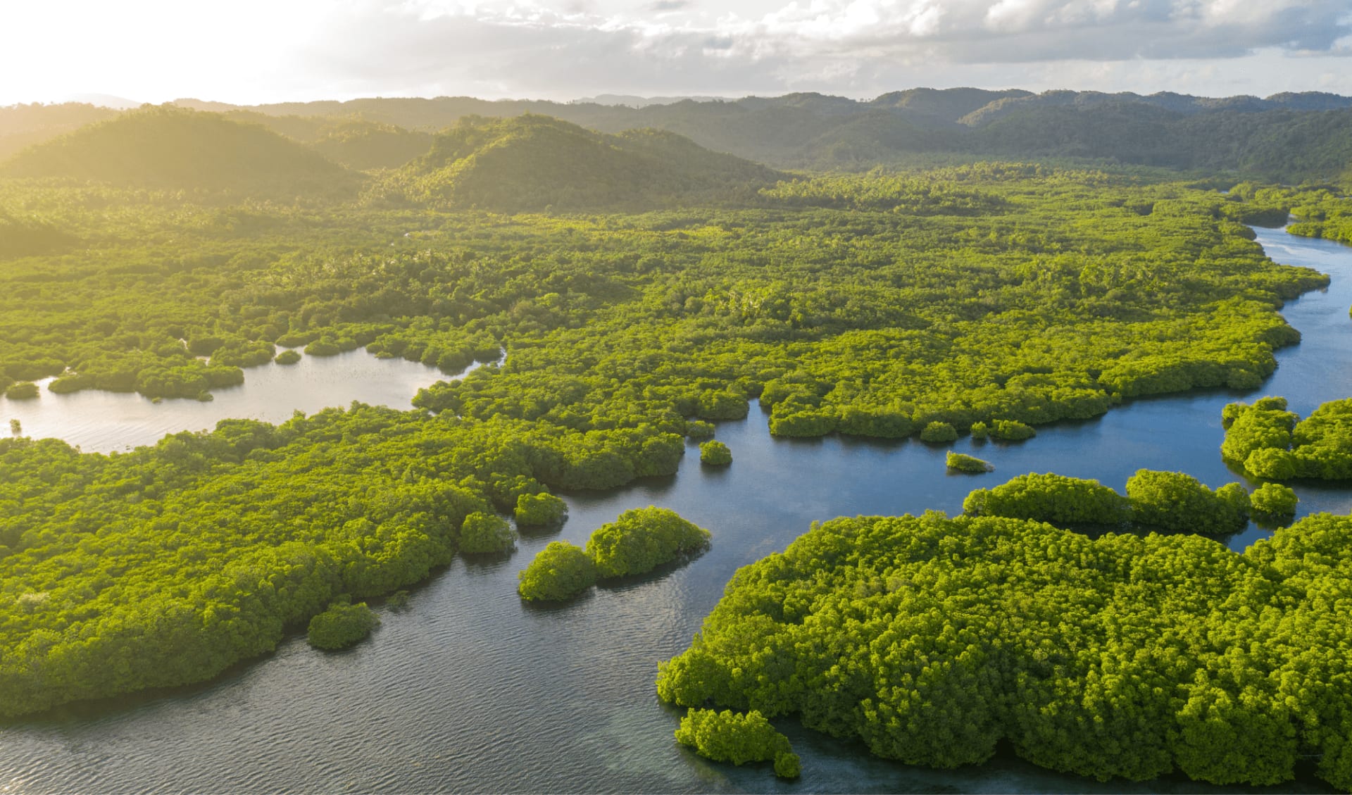 Brasil Classico ab Rio de Janeiro: Anavilhanas_Archipel_Amazonas_Regenwald_Brasilien