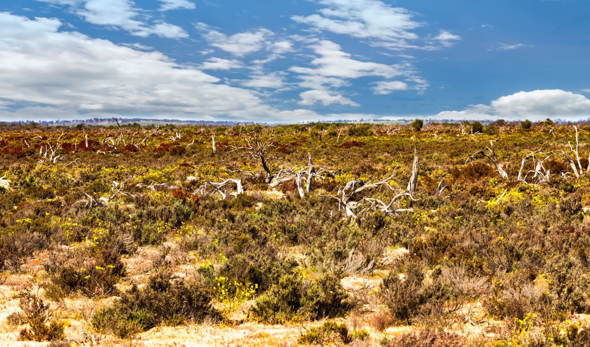 Canning Stock Route ab Perth: Anfangene Wüste