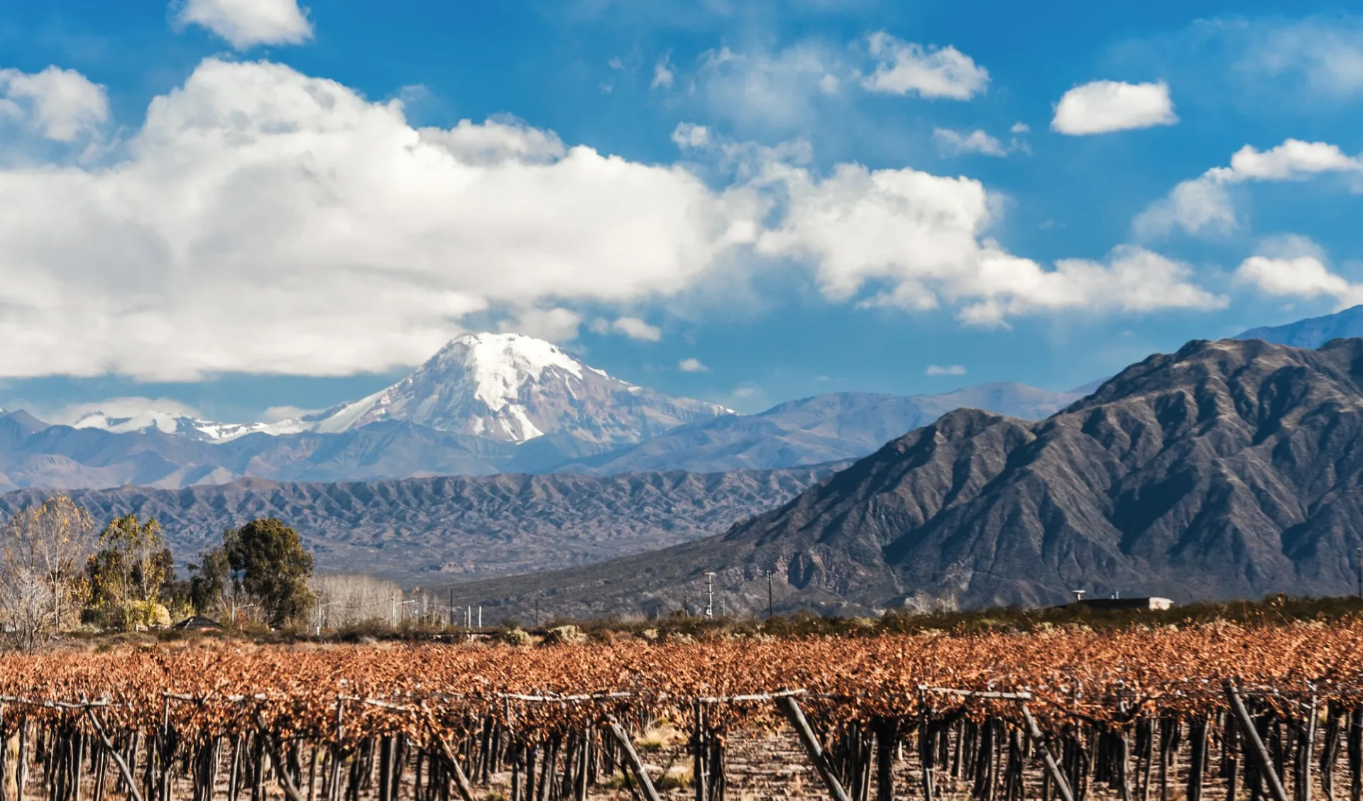 Mendoza - Salta: Argentinien - Mendoza - Volcano Aconcagua und Weinreben