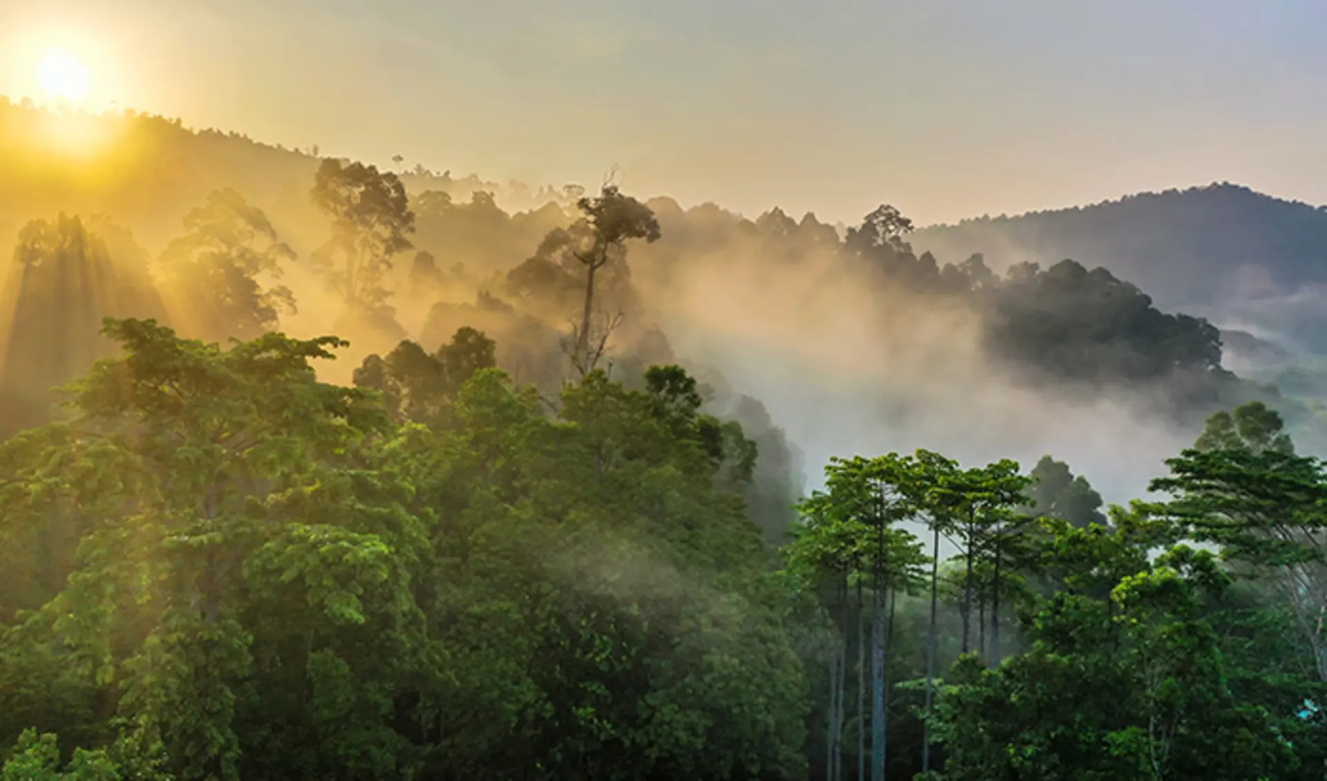 Kalimantan (Borneo), Indonesien