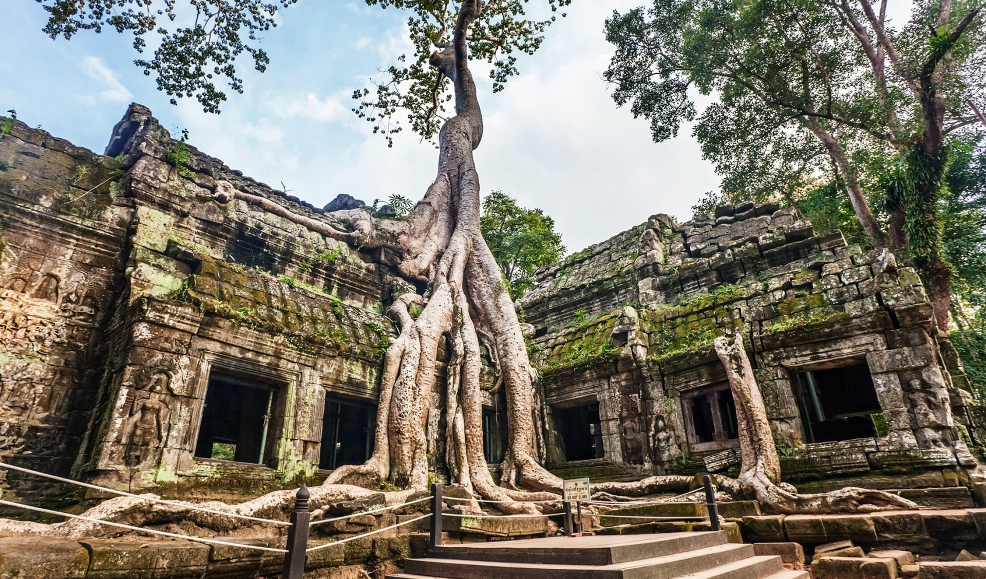 Ta Prohm Tempel, Angkor, Kambodscha