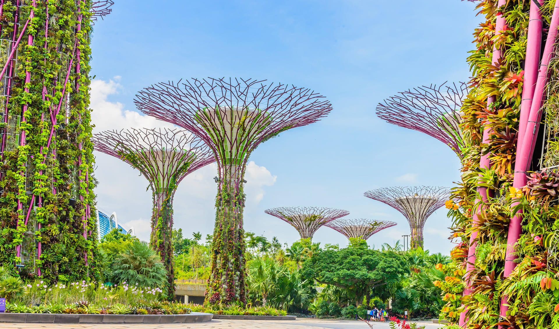 Garten an der Bucht, Singapur