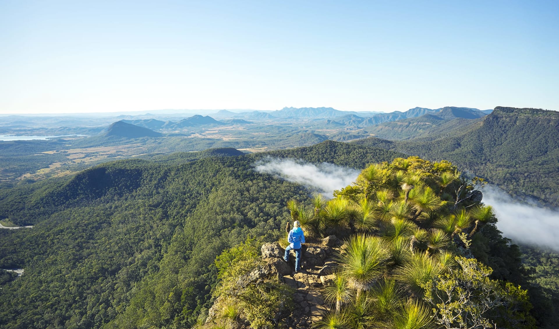 Scenic Rim Trail ab Brisbane: Australia - Queensland - Scenic Rim Trail - Bergpanorama