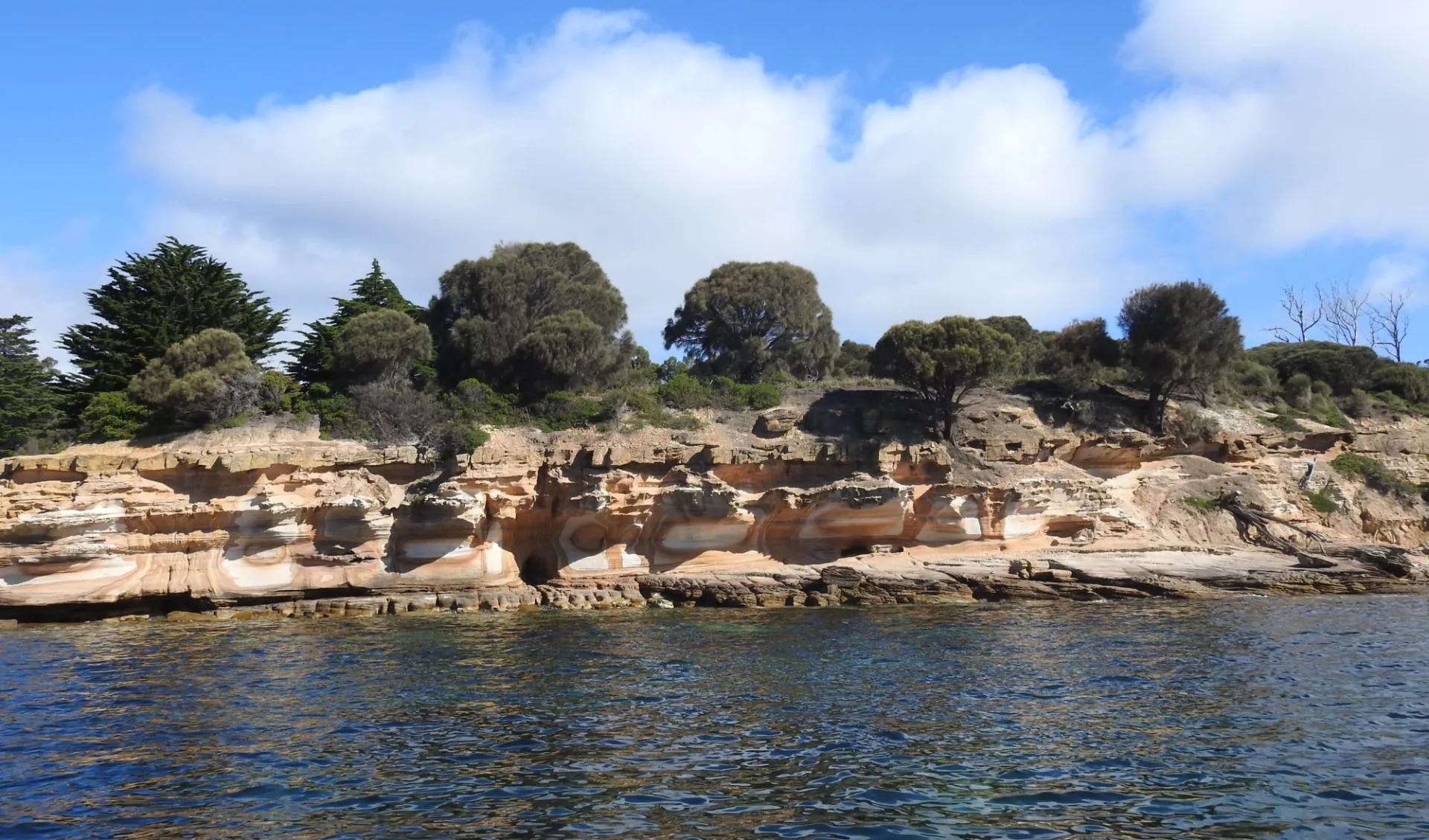 Coral Expeditions / Tasmanien ab Hobart: Australia - Tasmania - Maria Island - Coral Expeditions