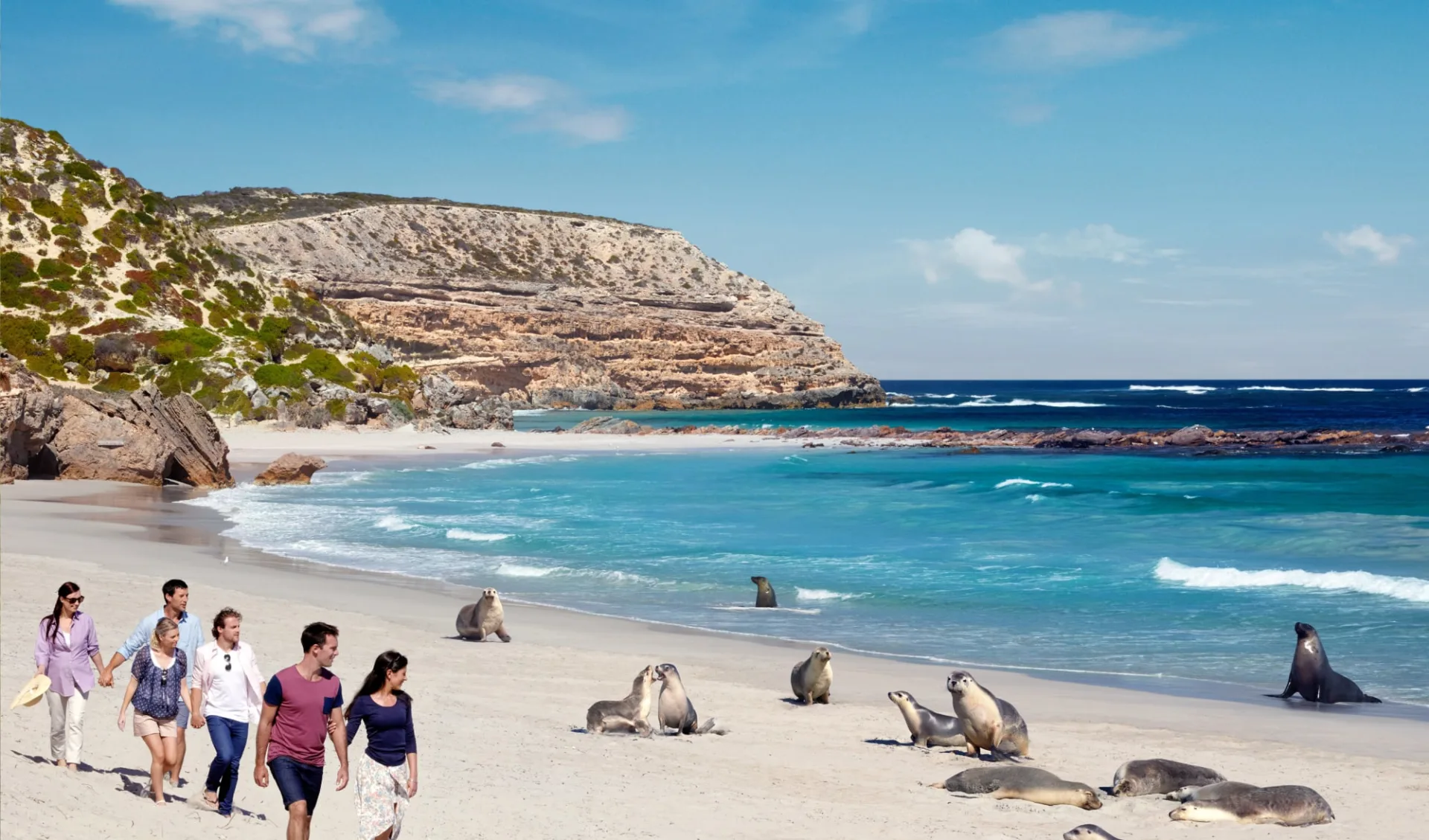 Ultimate Kangaroo Island - Bus ab Kangaroo I.- Kingscote: Australien - Kangaroo Island - Robben - Copyright South Australia Tourism - Photographer Paul Torcello