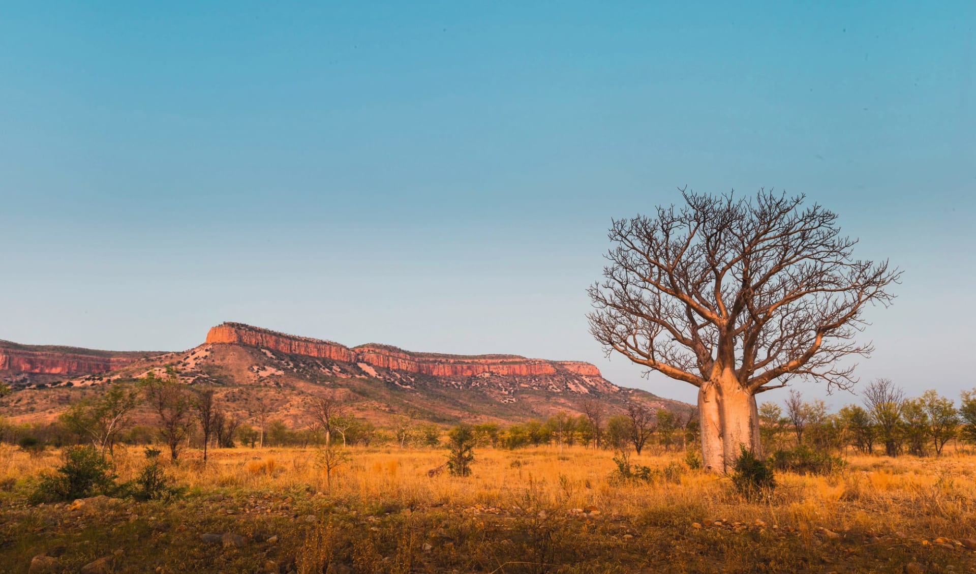 APT Bell Gorge Wilderness Lodge in Kimberley: Australien - Western Australia - Gibb River Road Boabtree and Cockburn Ranges